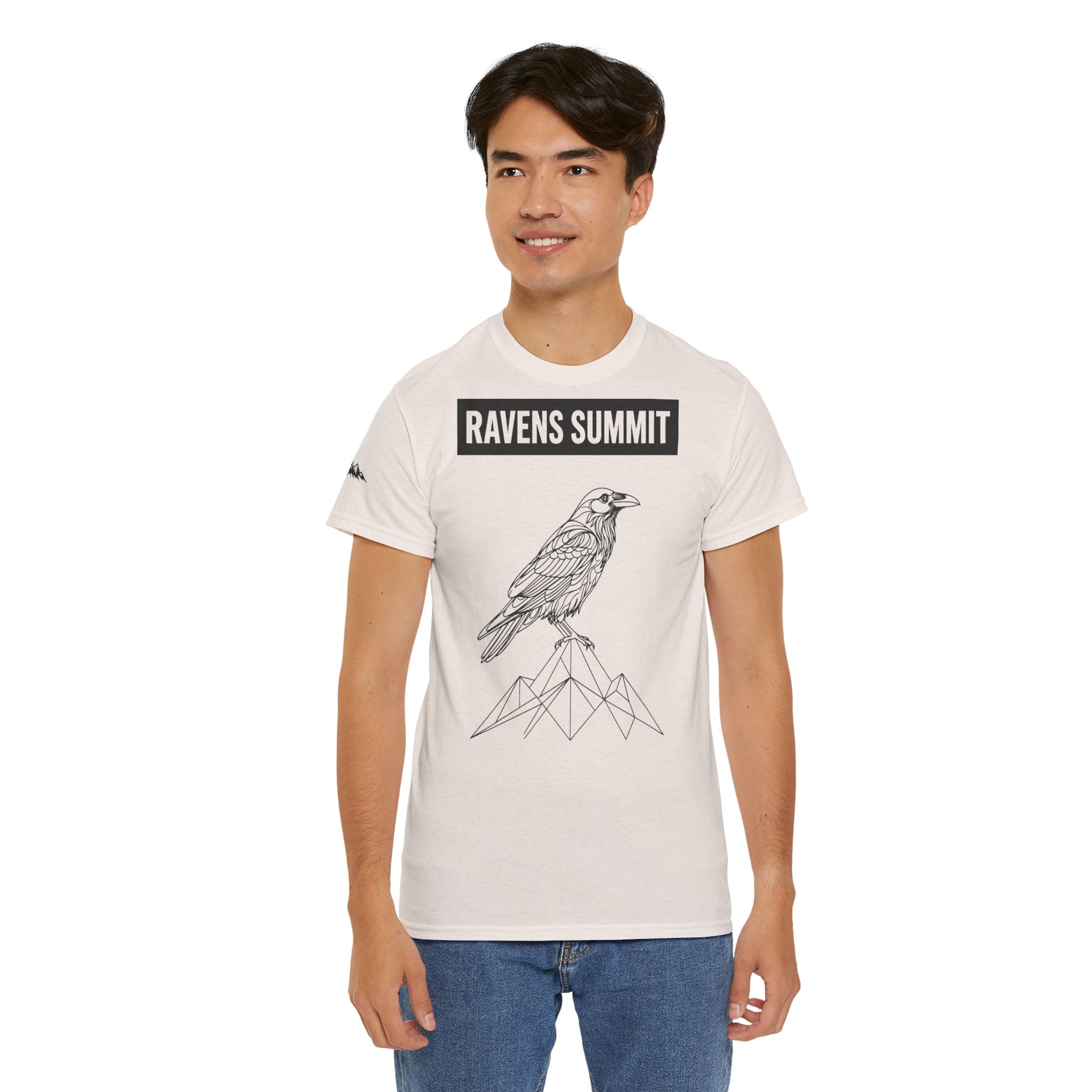 Raven Summit Tee — Minimal Mountain Raven Line Art Graphic T-Shirt