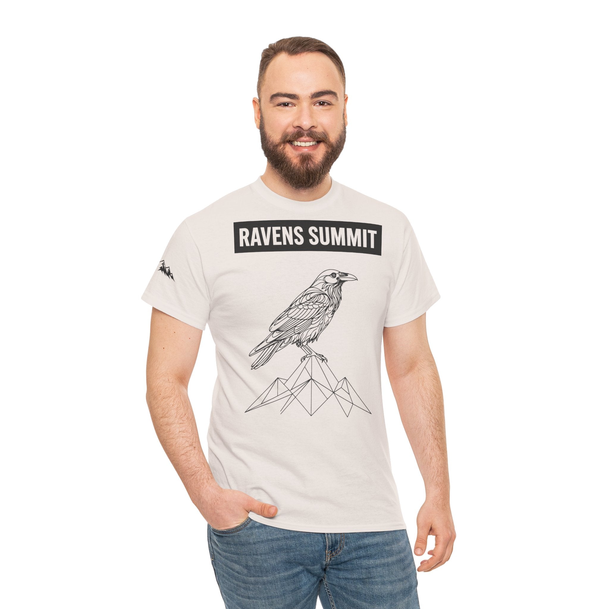 Raven Summit Tee — Minimal Mountain Raven Line Art Graphic T-Shirt