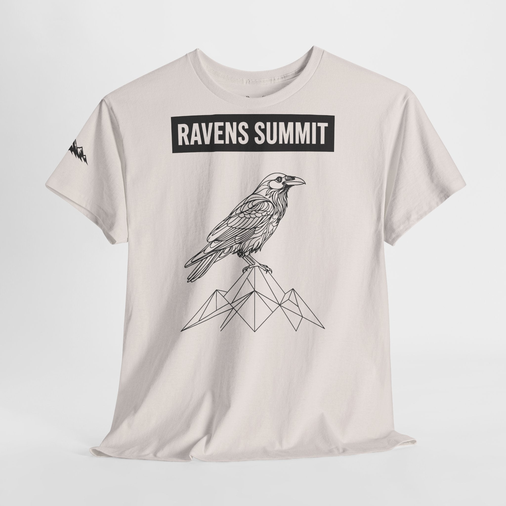 Raven Summit Tee — Minimal Mountain Raven Line Art Graphic T-Shirt