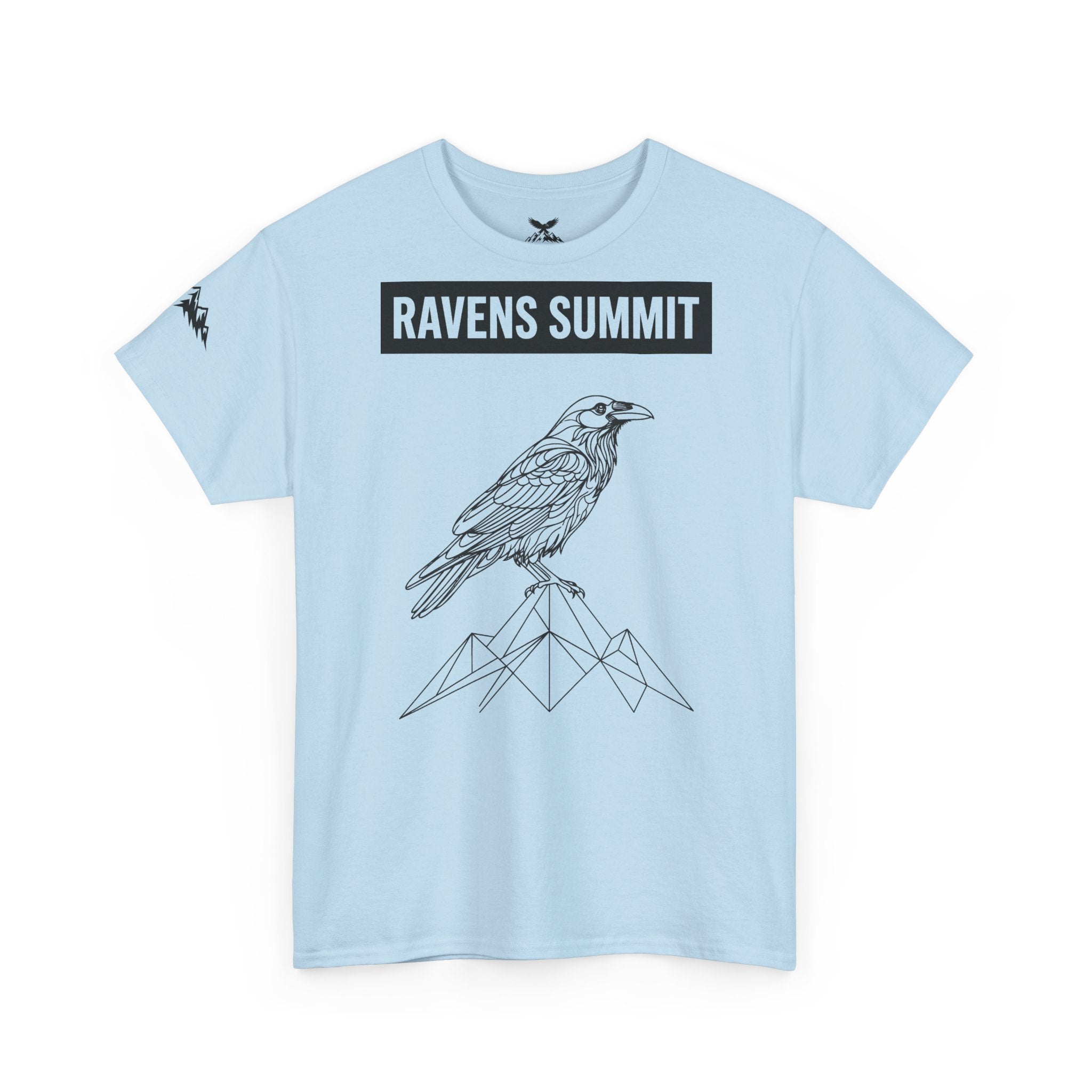 Raven Summit Tee — Minimal Mountain Raven Line Art Graphic T-Shirt