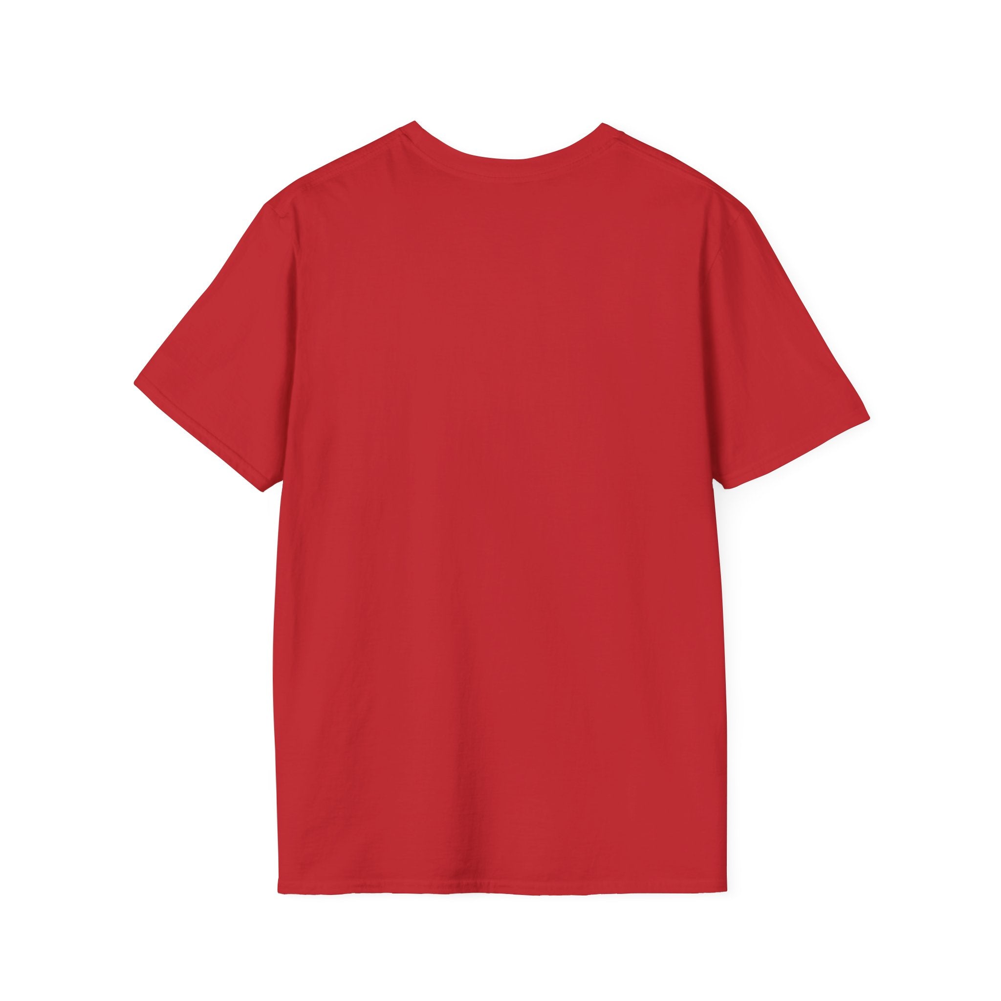 Ravens Summit T-Shirt — Mountain Raven Outdoor Graphic Tee
