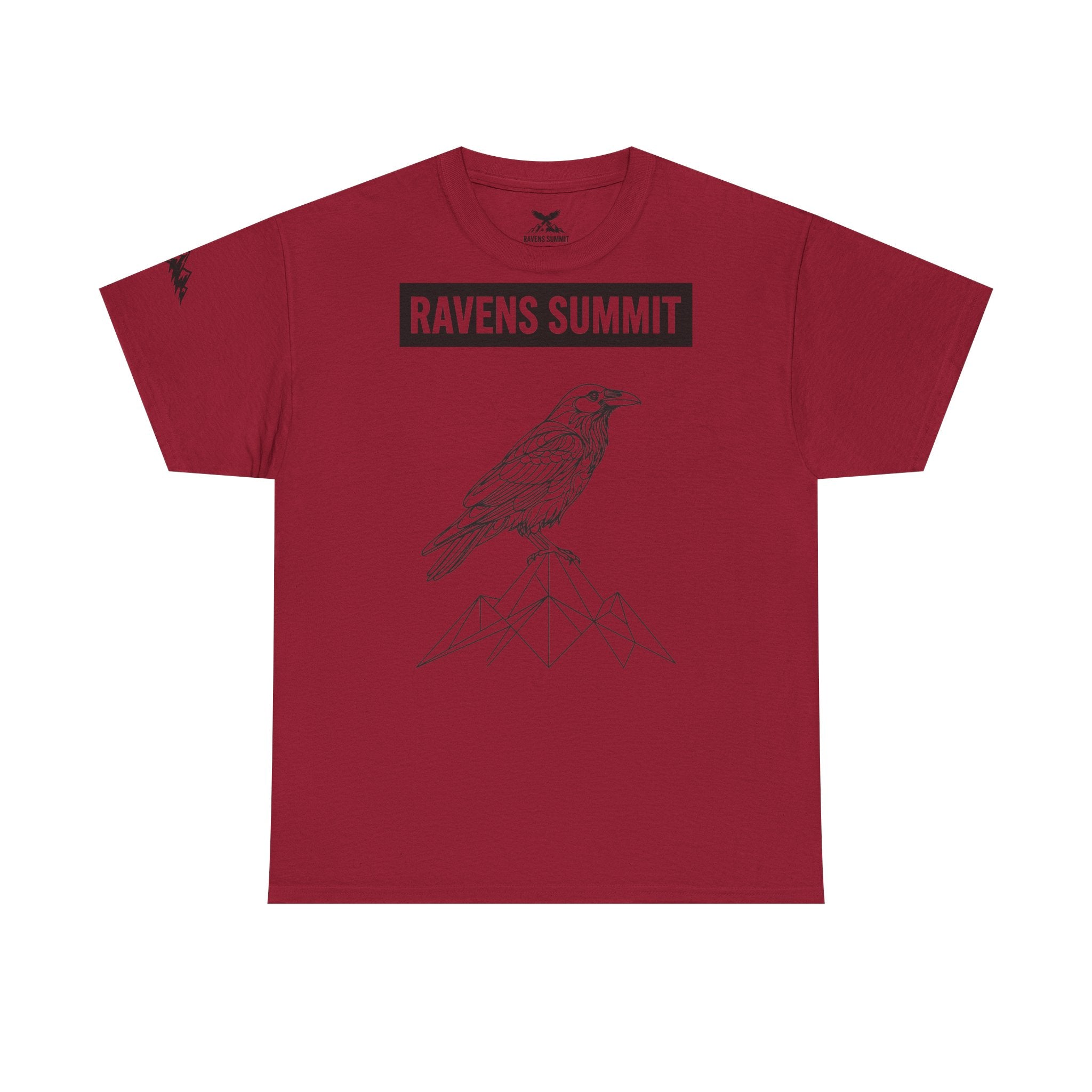 Raven Summit Tee — Minimal Mountain Raven Line Art Graphic T-Shirt