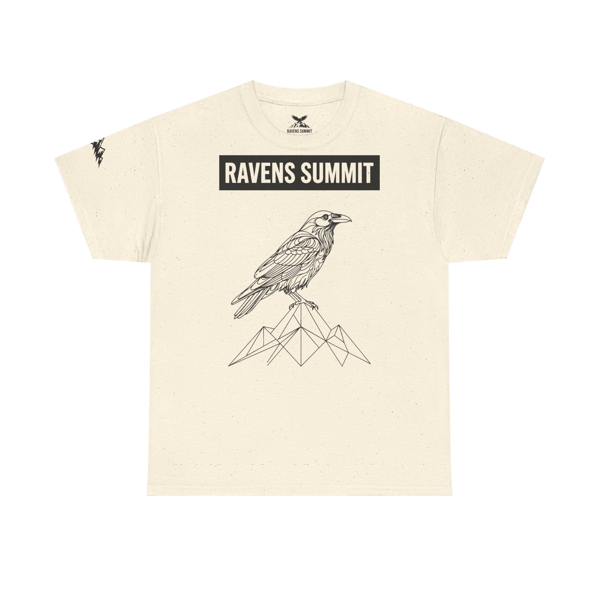 Raven Summit Tee — Minimal Mountain Raven Line Art Graphic T-Shirt