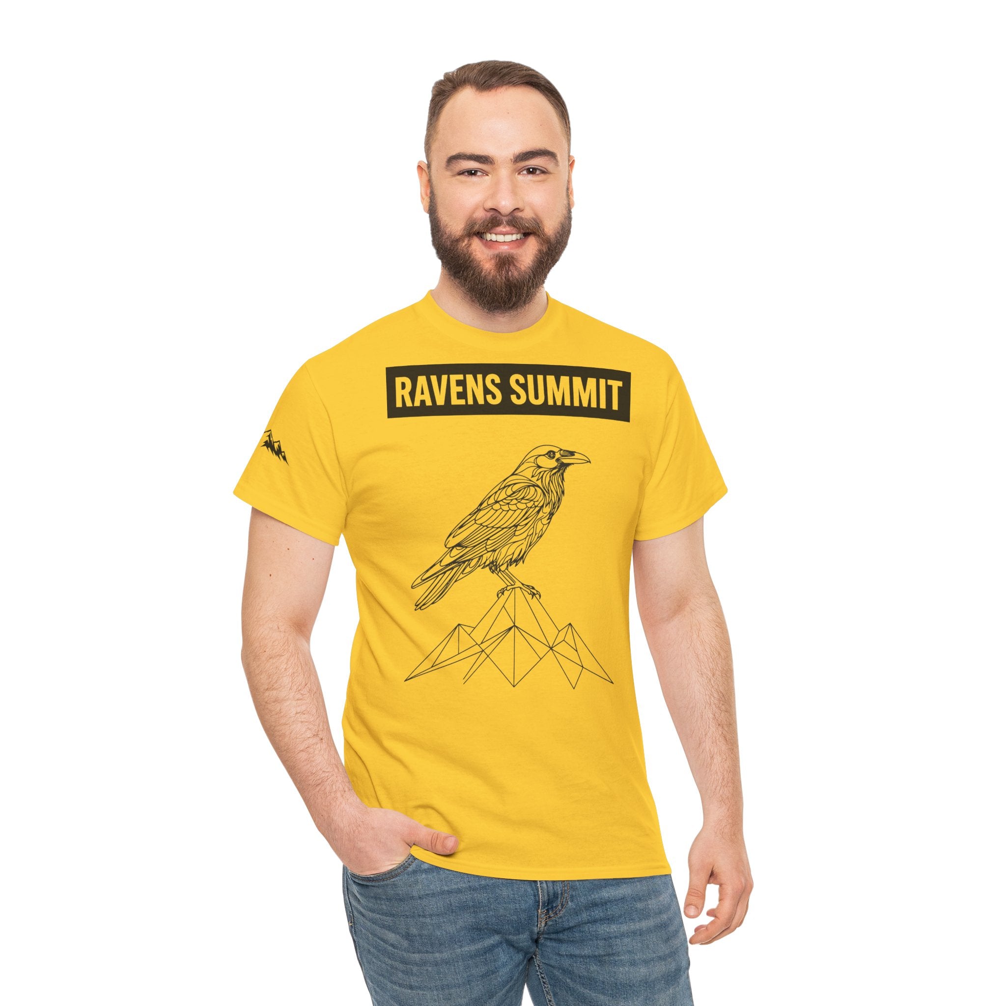 Raven Summit Tee — Minimal Mountain Raven Line Art Graphic T-Shirt