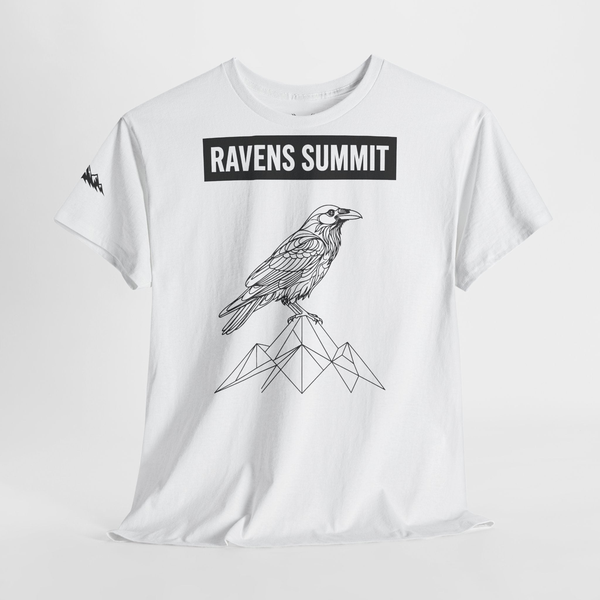 Raven Summit Tee — Minimal Mountain Raven Line Art Graphic T-Shirt