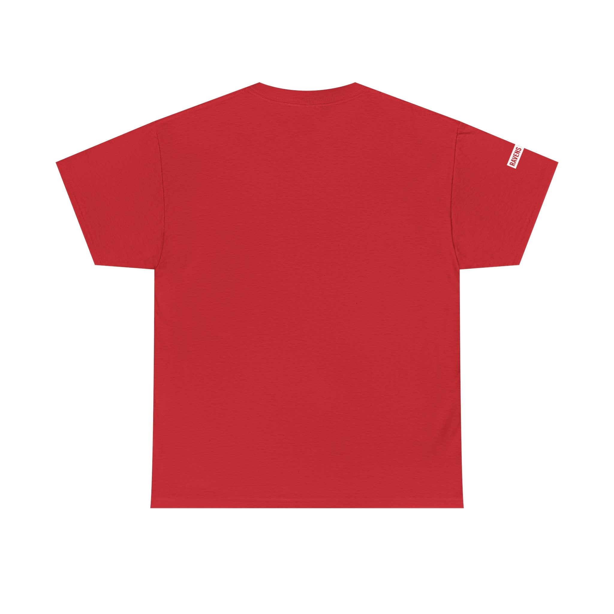 Ravens Summit Dark T-Shirt — Mountain Raven Outdoor Graphic Tee