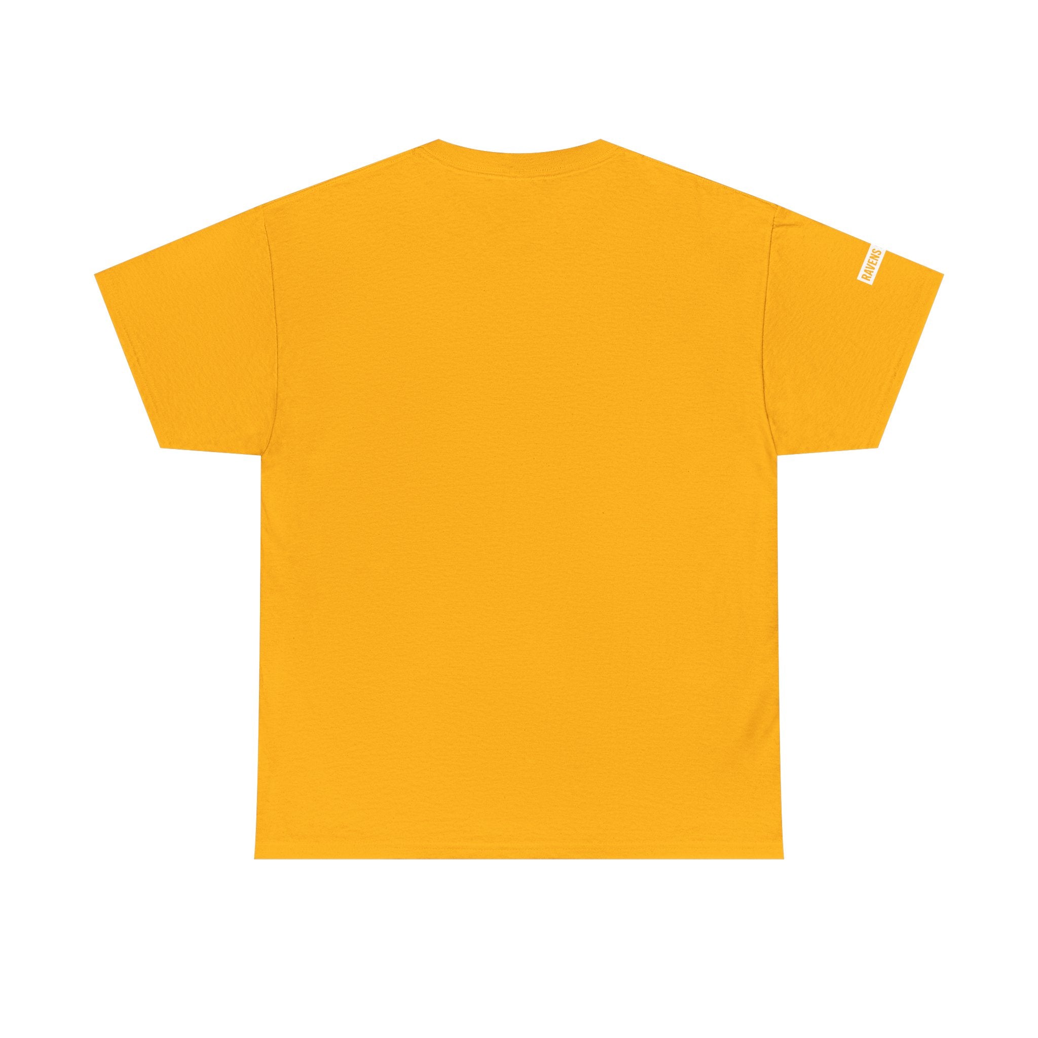 Ravens Summit Dark T-Shirt — Mountain Raven Outdoor Graphic Tee