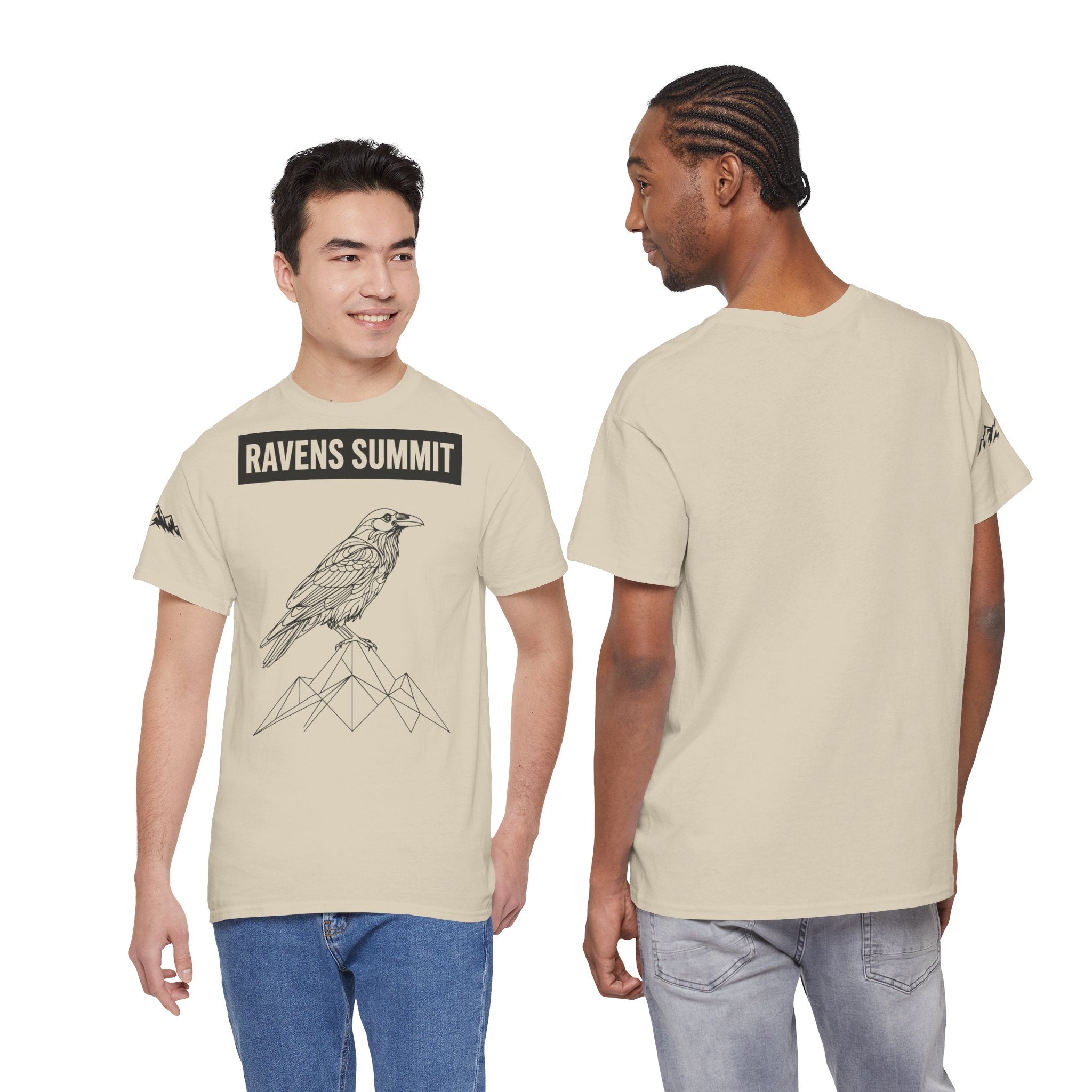 Raven Summit Tee — Minimal Mountain Raven Line Art Graphic T-Shirt