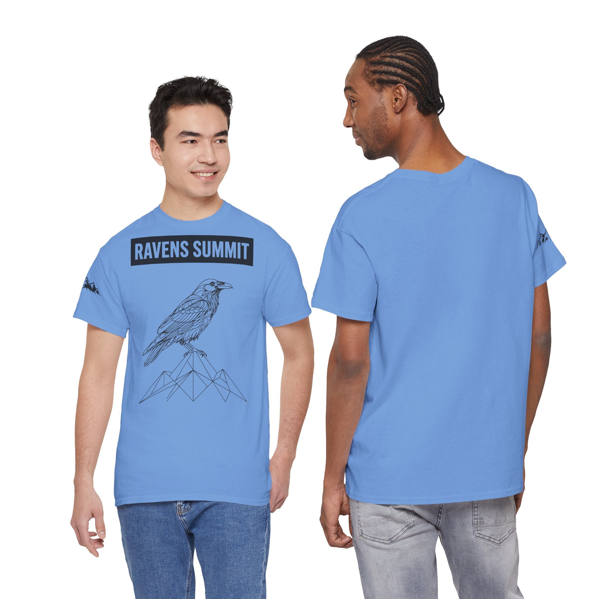 Raven Summit Tee — Minimal Mountain Raven Line Art Graphic T-Shirt