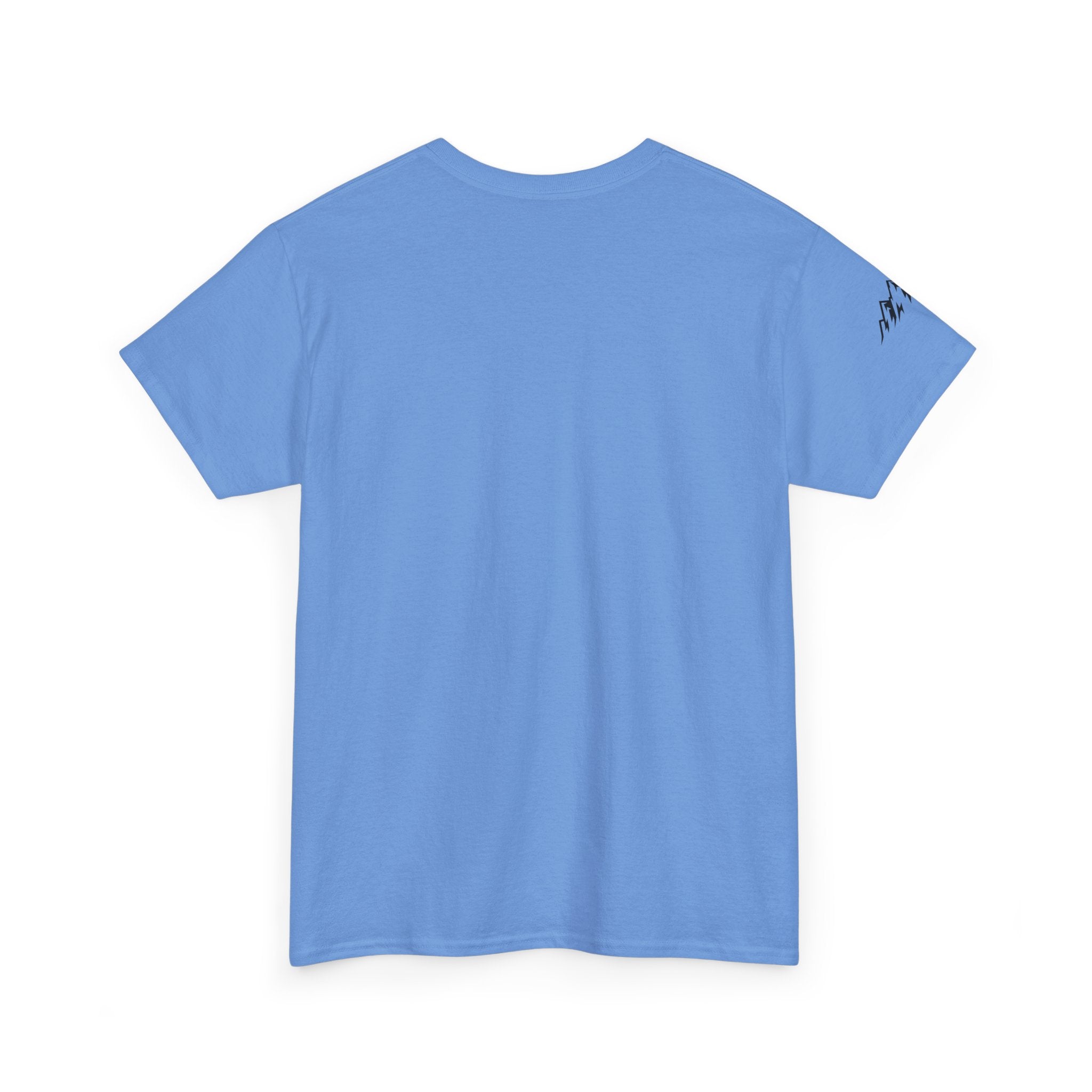 Raven Summit Tee — Minimal Mountain Raven Line Art Graphic T-Shirt