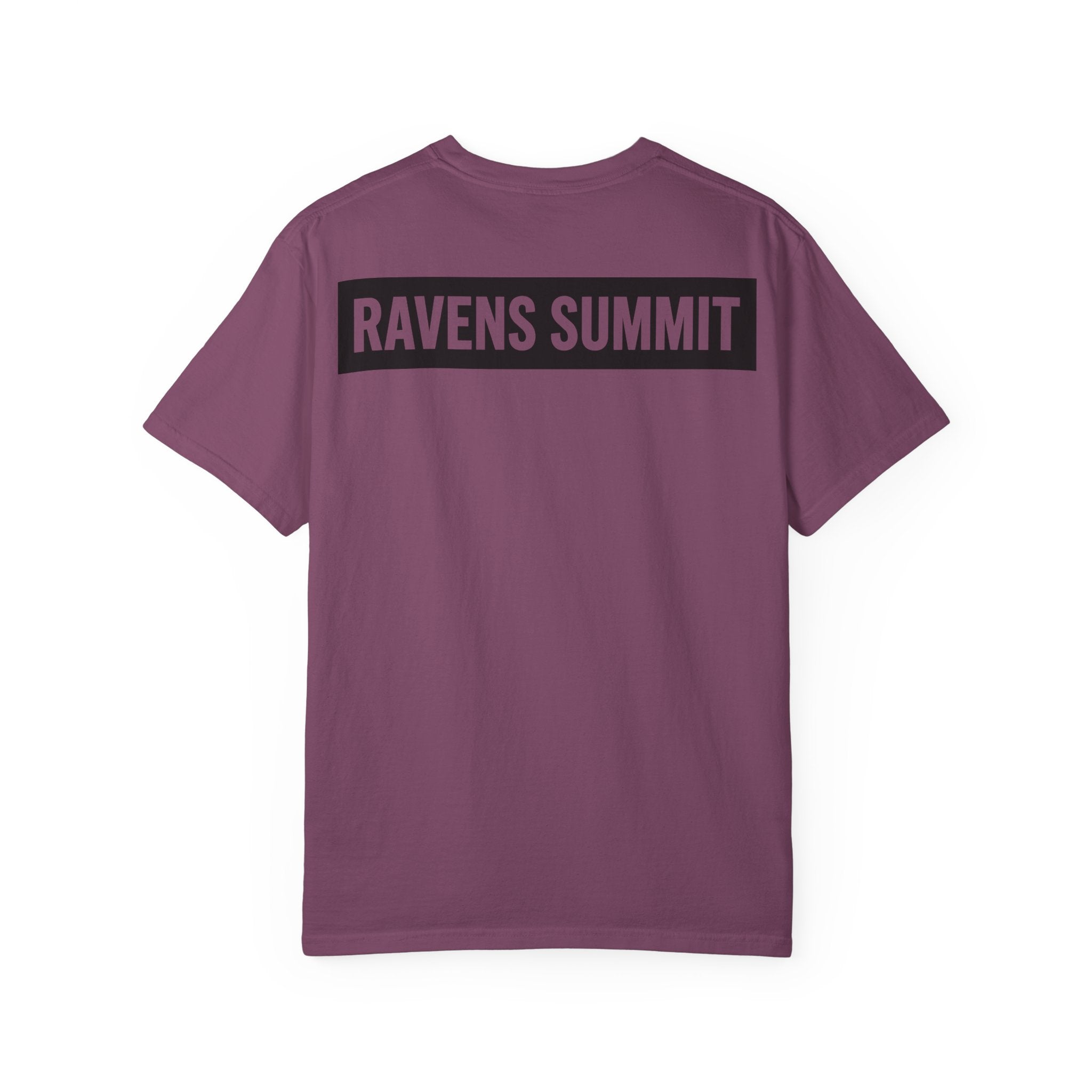 Ravens Summit Mountain T-Shirt — Eagle Over Peaks Graphic Tee Light