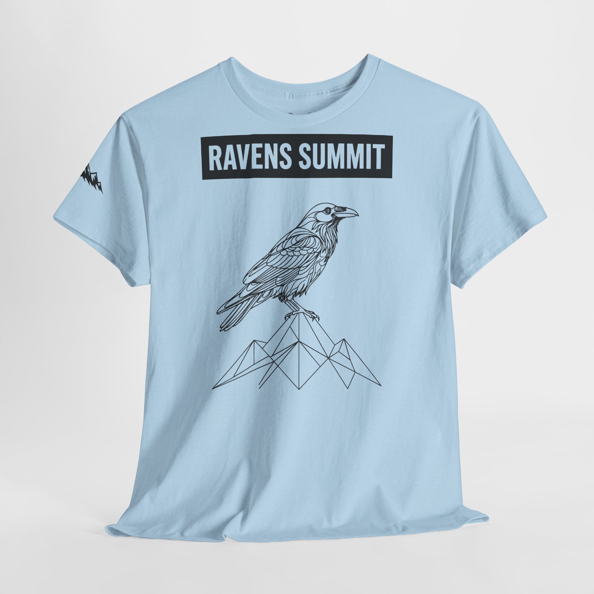 Raven Summit Tee — Minimal Mountain Raven Line Art Graphic T-Shirt