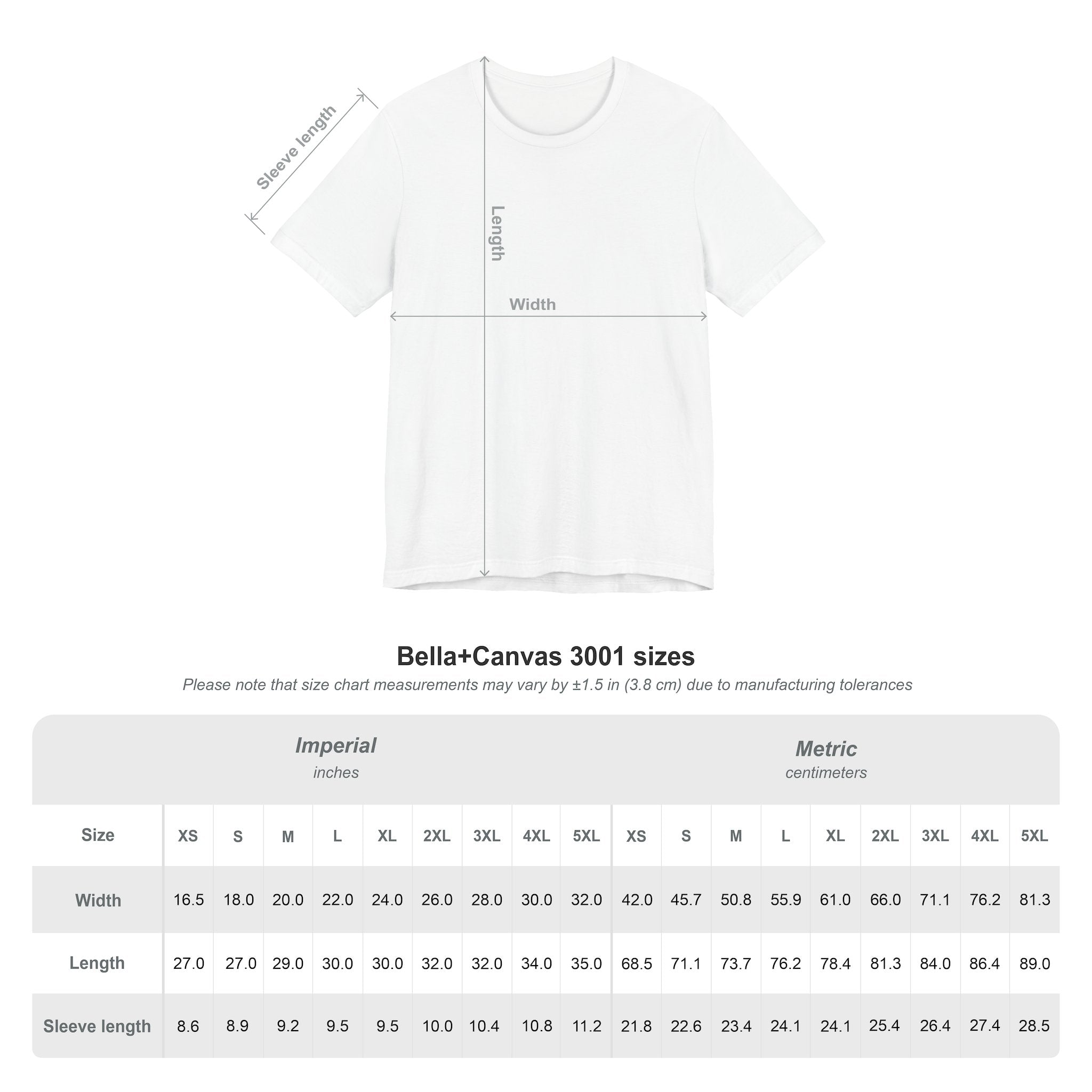 Ravens Summit T‑Shirt — Mountain Raven Graphic Tee Light