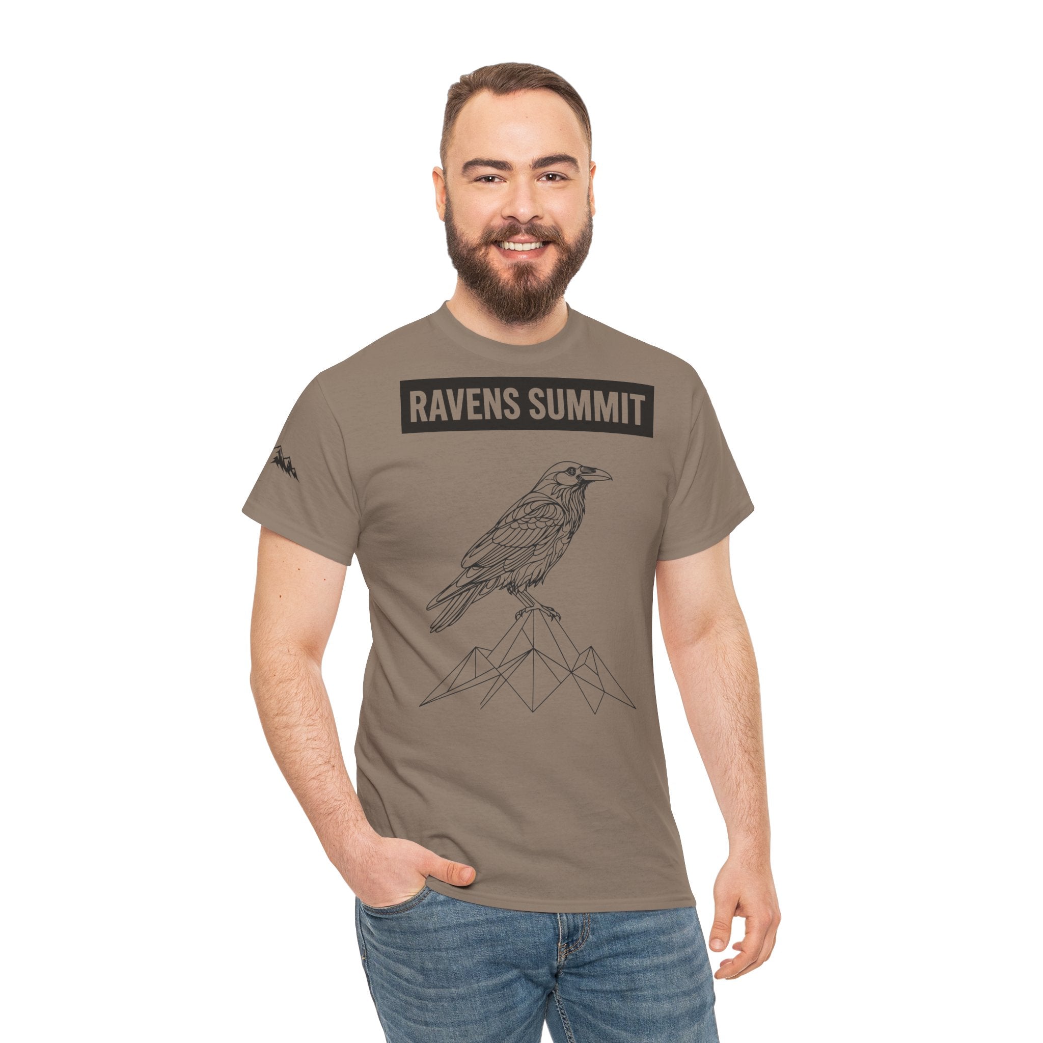 Raven Summit Tee — Minimal Mountain Raven Line Art Graphic T-Shirt