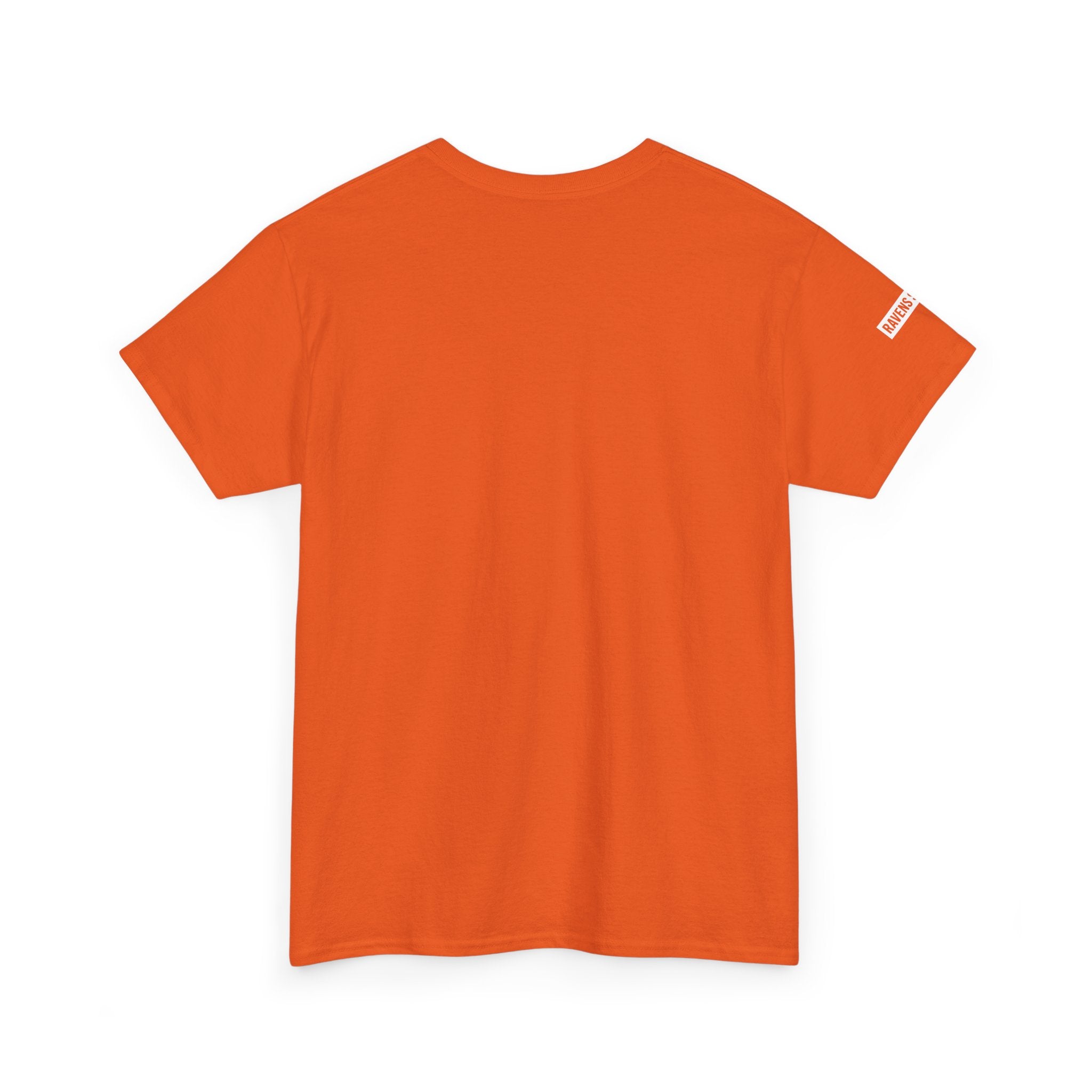 Ravens Summit Dark T-Shirt — Mountain Raven Outdoor Graphic Tee