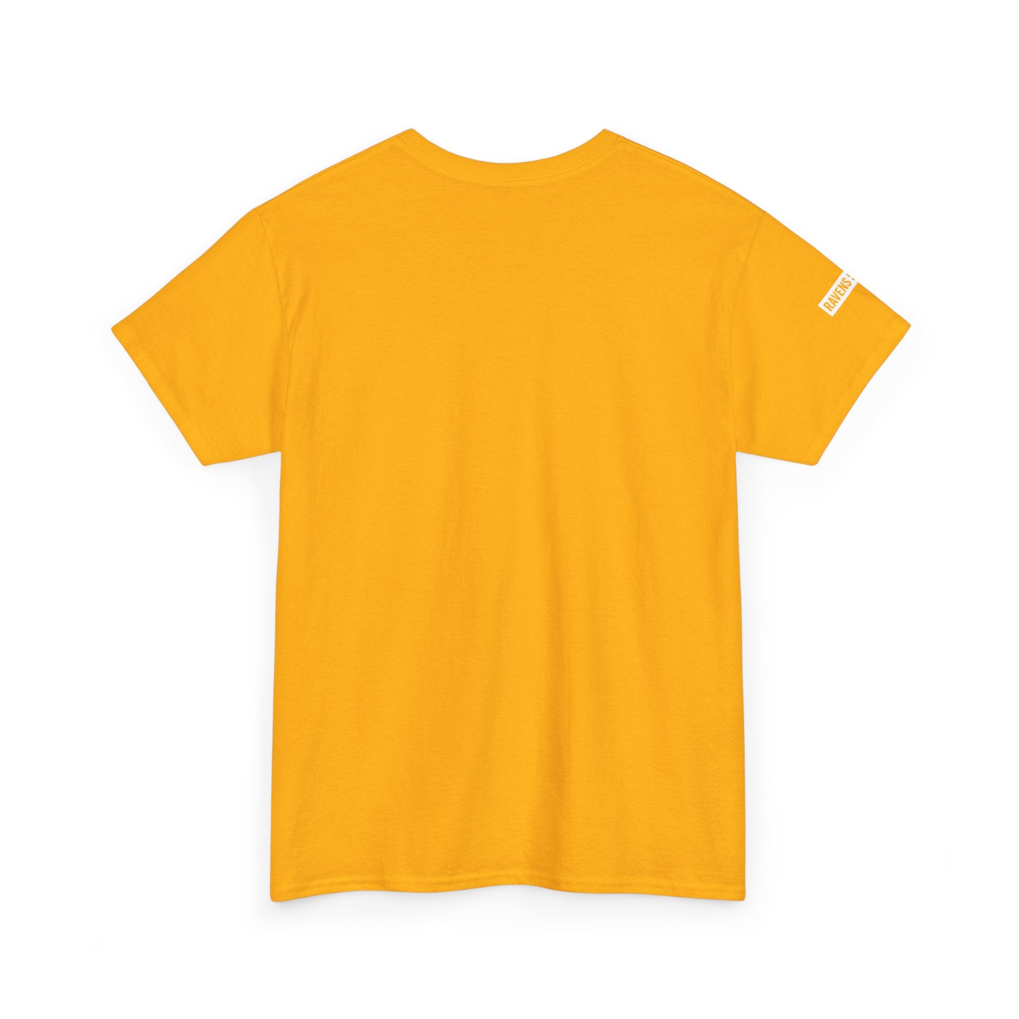 Ravens Summit Dark T-Shirt — Mountain Raven Outdoor Graphic Tee