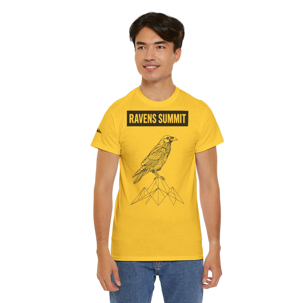 Raven Summit Tee — Minimal Mountain Raven Line Art Graphic T-Shirt