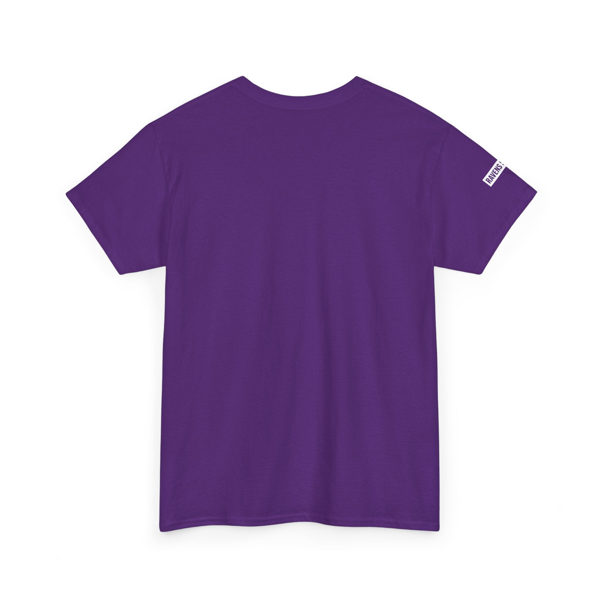 Ravens Summit Dark T-Shirt — Mountain Raven Outdoor Graphic Tee