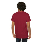 Raven Summit Tee — Minimal Mountain Raven Line Art Graphic T-Shirt