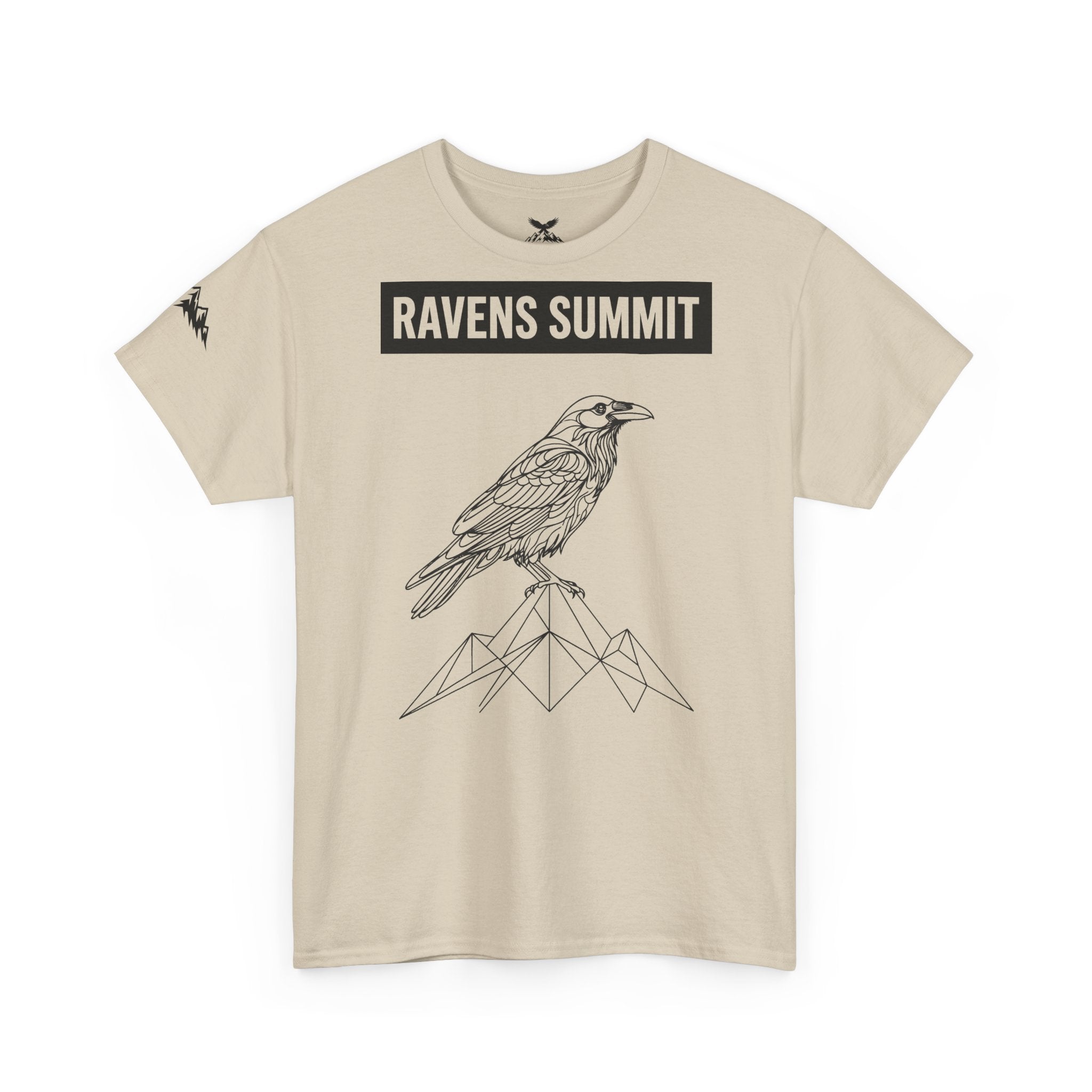 Raven Summit Tee — Minimal Mountain Raven Line Art Graphic T-Shirt