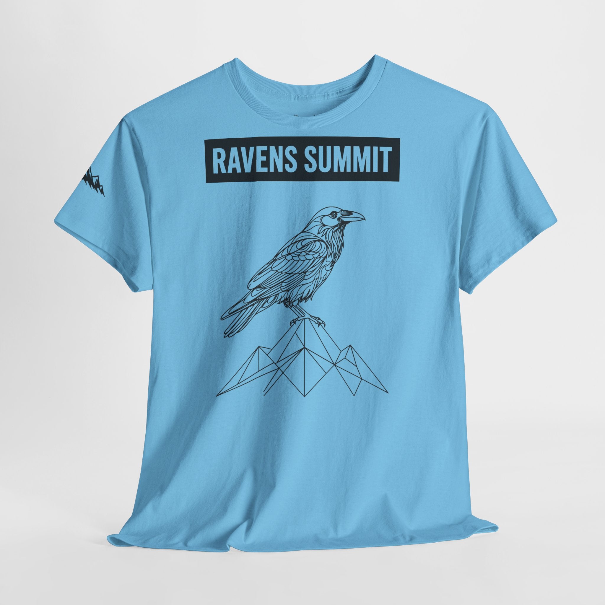 Raven Summit Tee — Minimal Mountain Raven Line Art Graphic T-Shirt