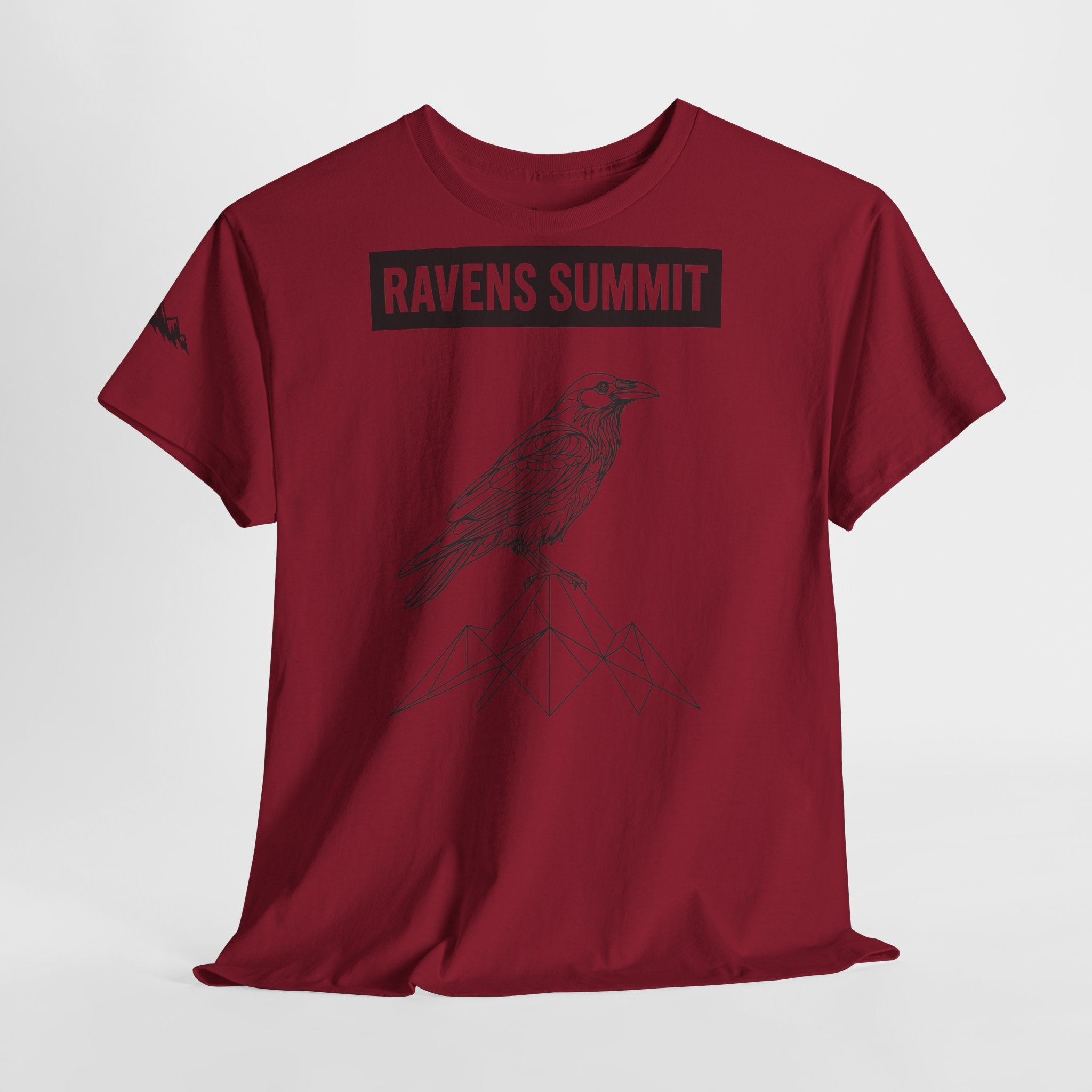 Raven Summit Tee — Minimal Mountain Raven Line Art Graphic T-Shirt