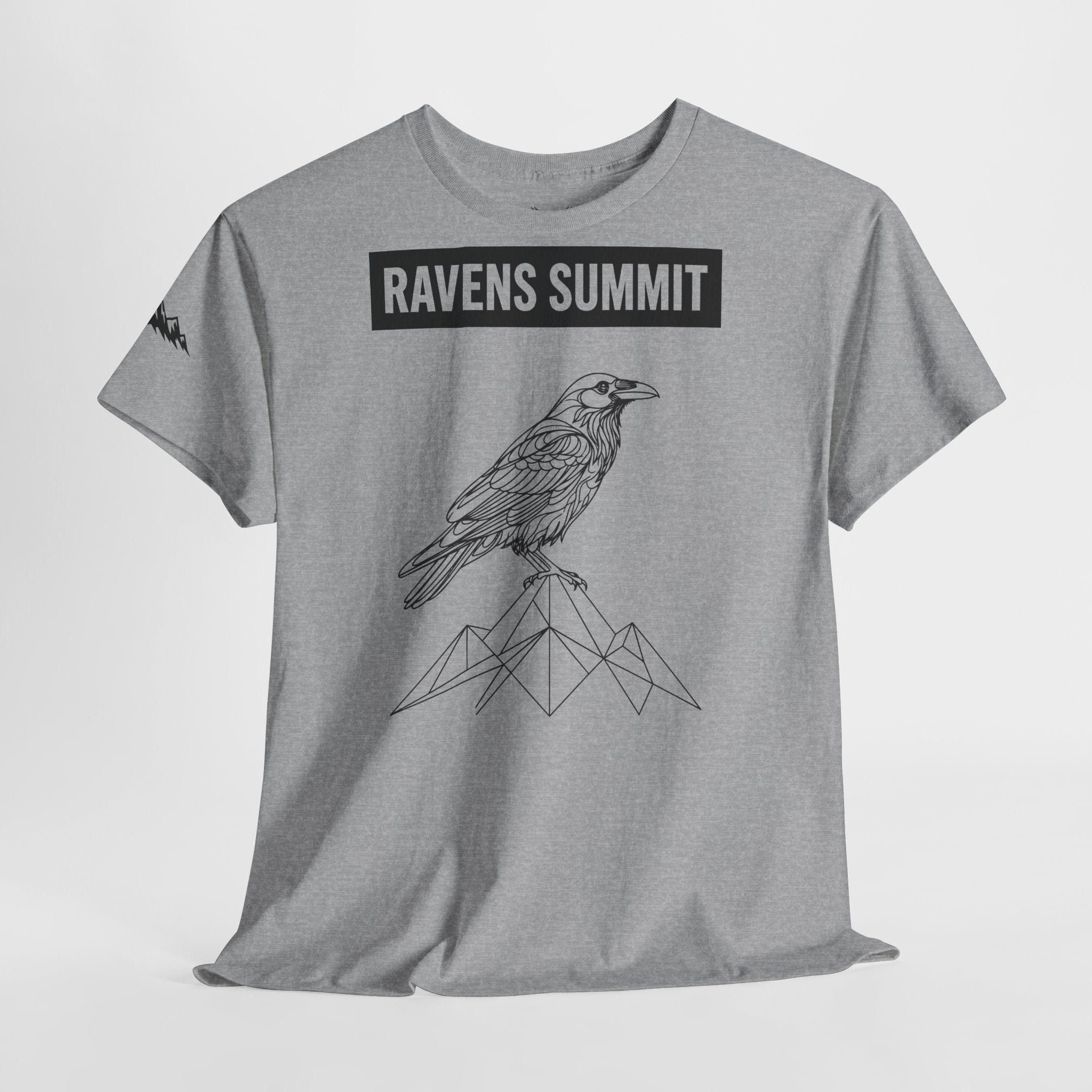 Raven Summit Tee — Minimal Mountain Raven Line Art Graphic T-Shirt