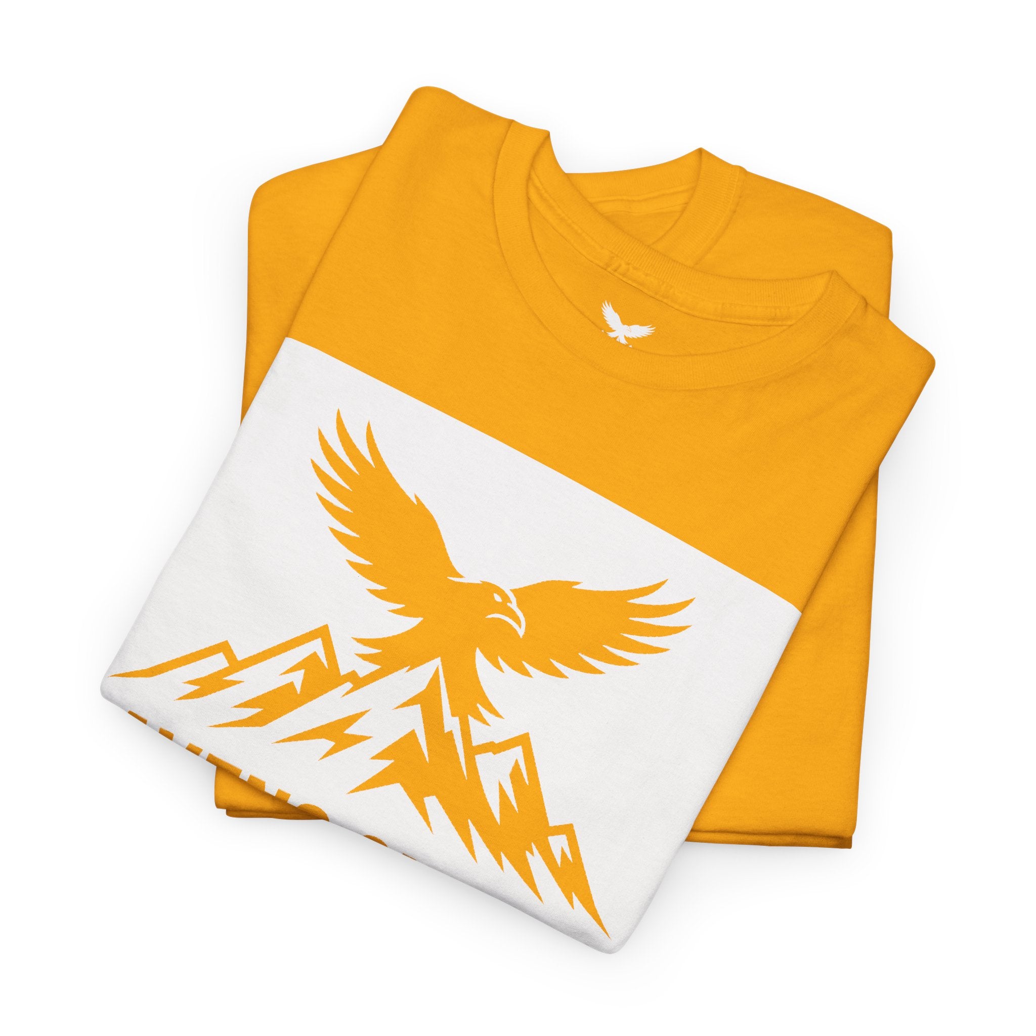 Ravens Summit Dark T-Shirt — Mountain Raven Outdoor Graphic Tee