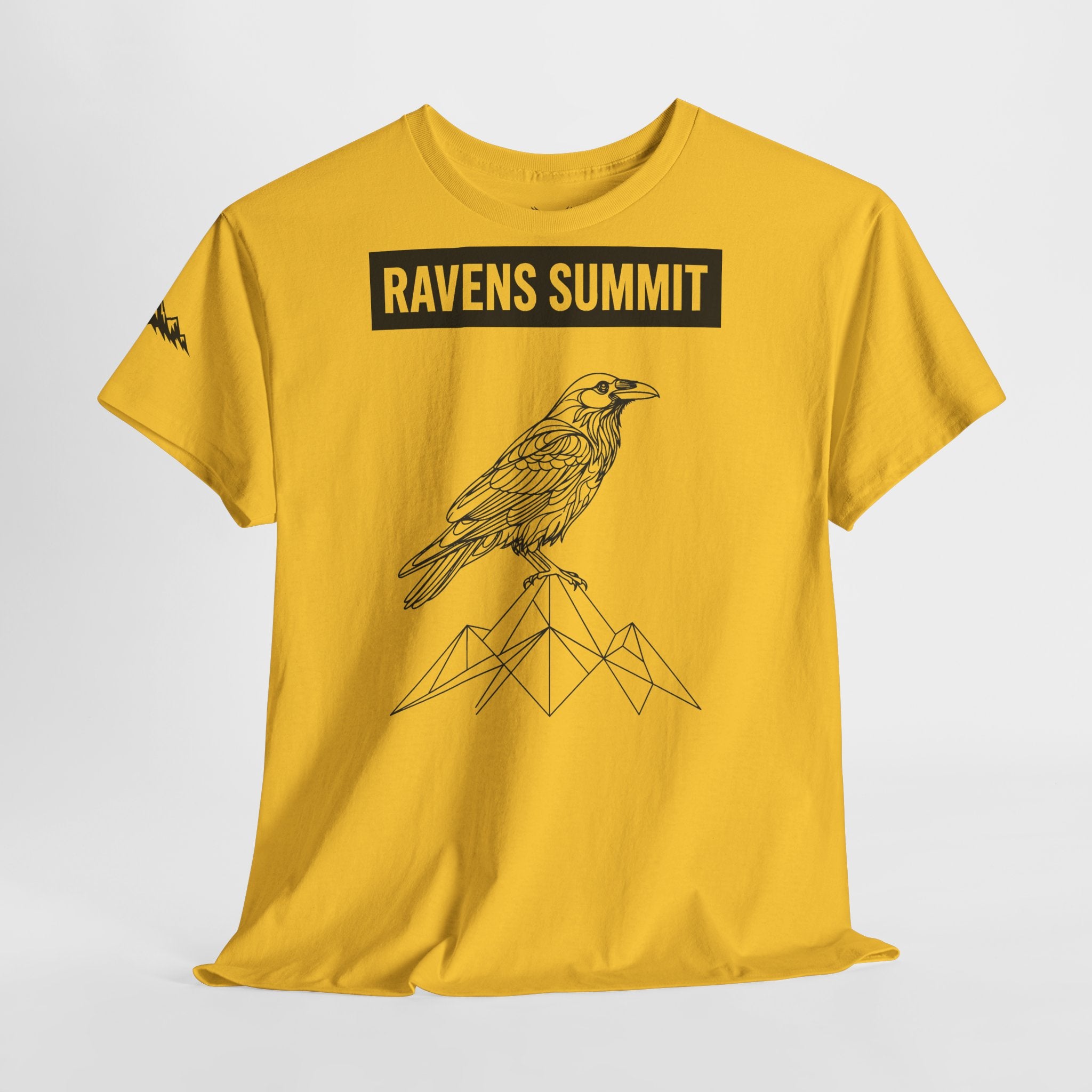 Raven Summit Tee — Minimal Mountain Raven Line Art Graphic T-Shirt