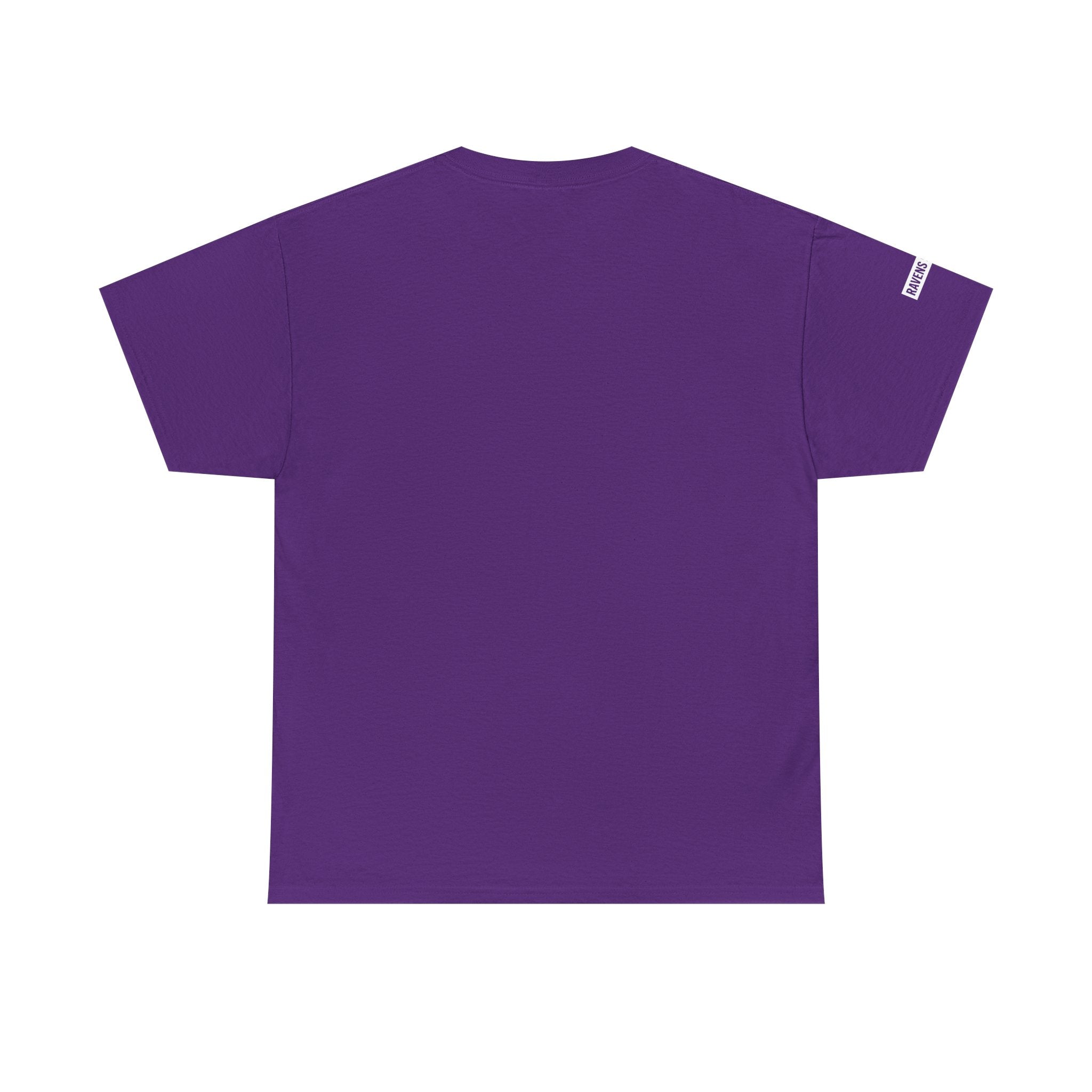 Ravens Summit Dark T-Shirt — Mountain Raven Outdoor Graphic Tee