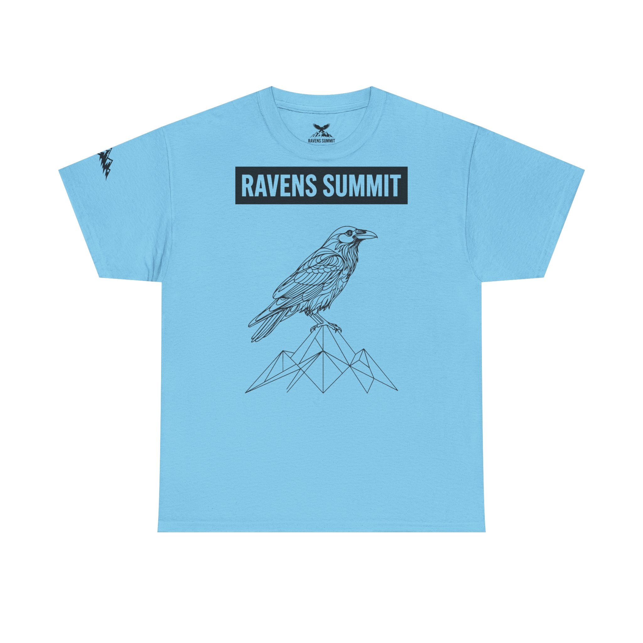 Raven Summit Tee — Minimal Mountain Raven Line Art Graphic T-Shirt