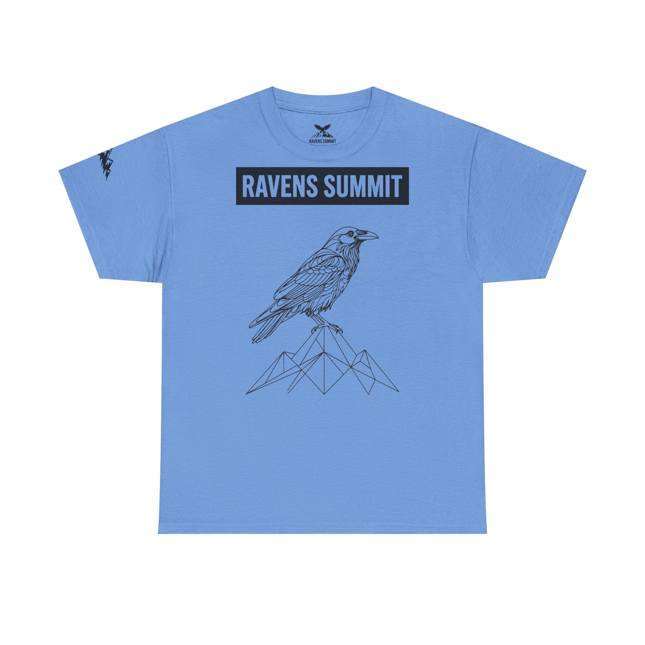 Raven Summit Tee — Minimal Mountain Raven Line Art Graphic T-Shirt