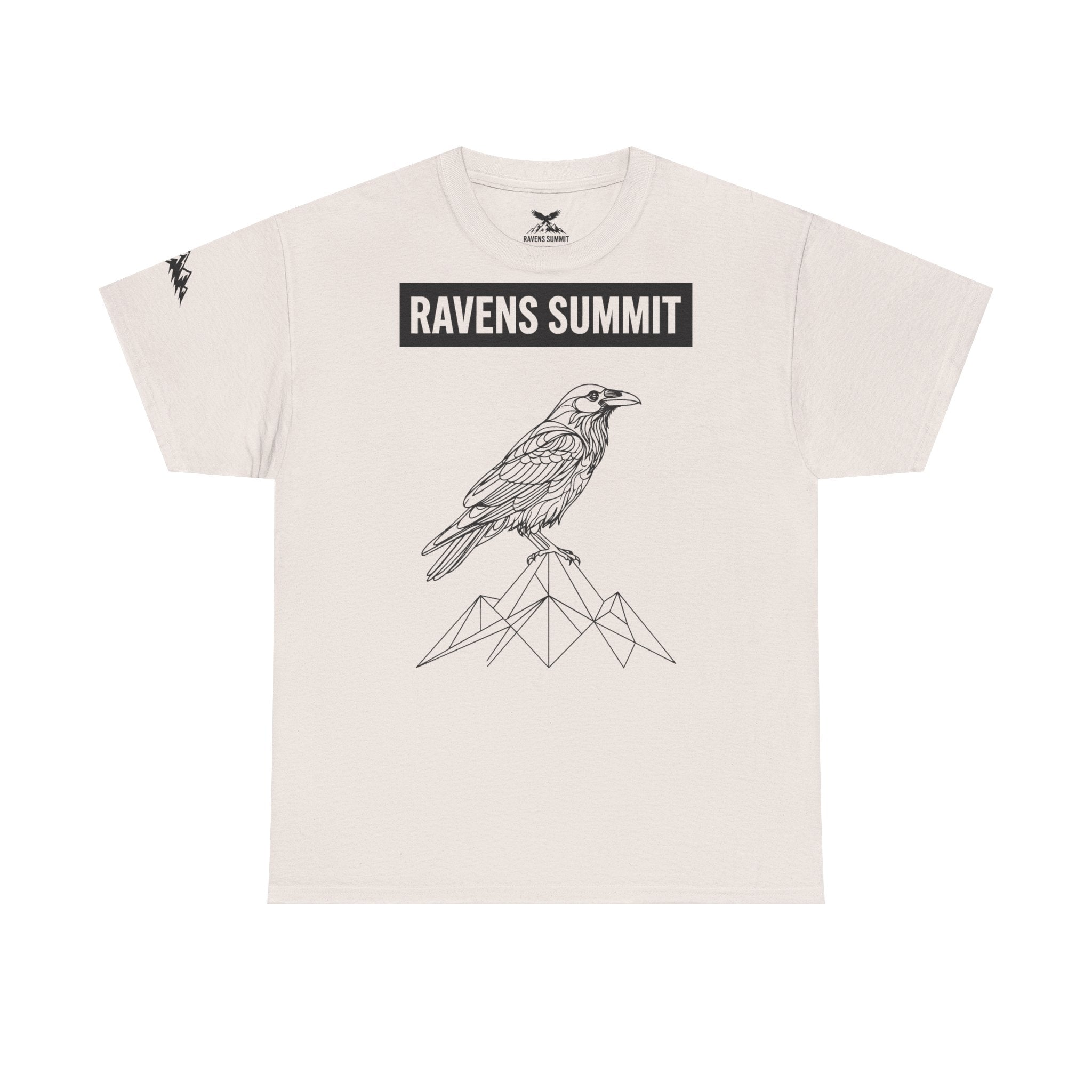 Raven Summit Tee — Minimal Mountain Raven Line Art Graphic T-Shirt