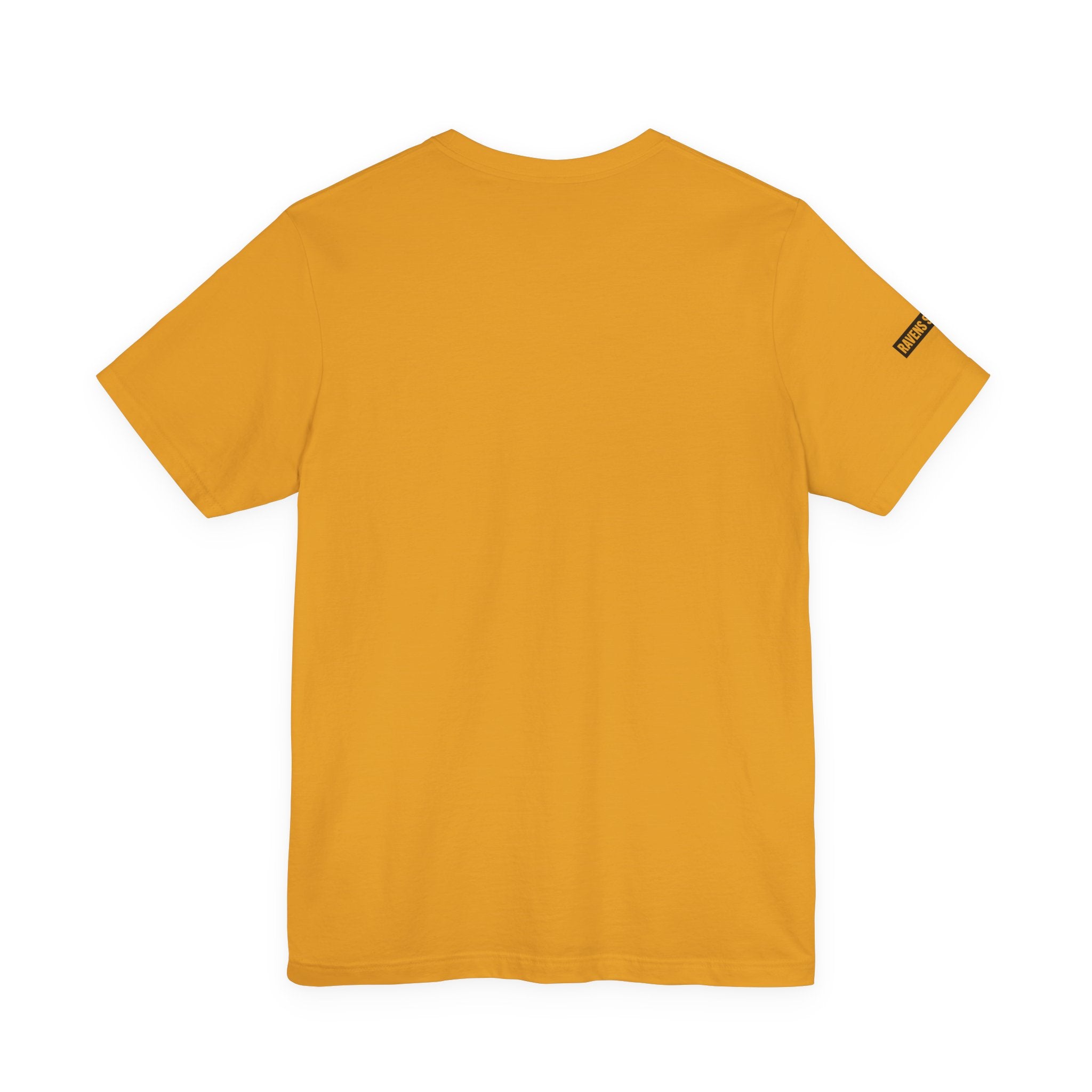 Ravens Summit T‑Shirt — Mountain Raven Graphic Tee Light