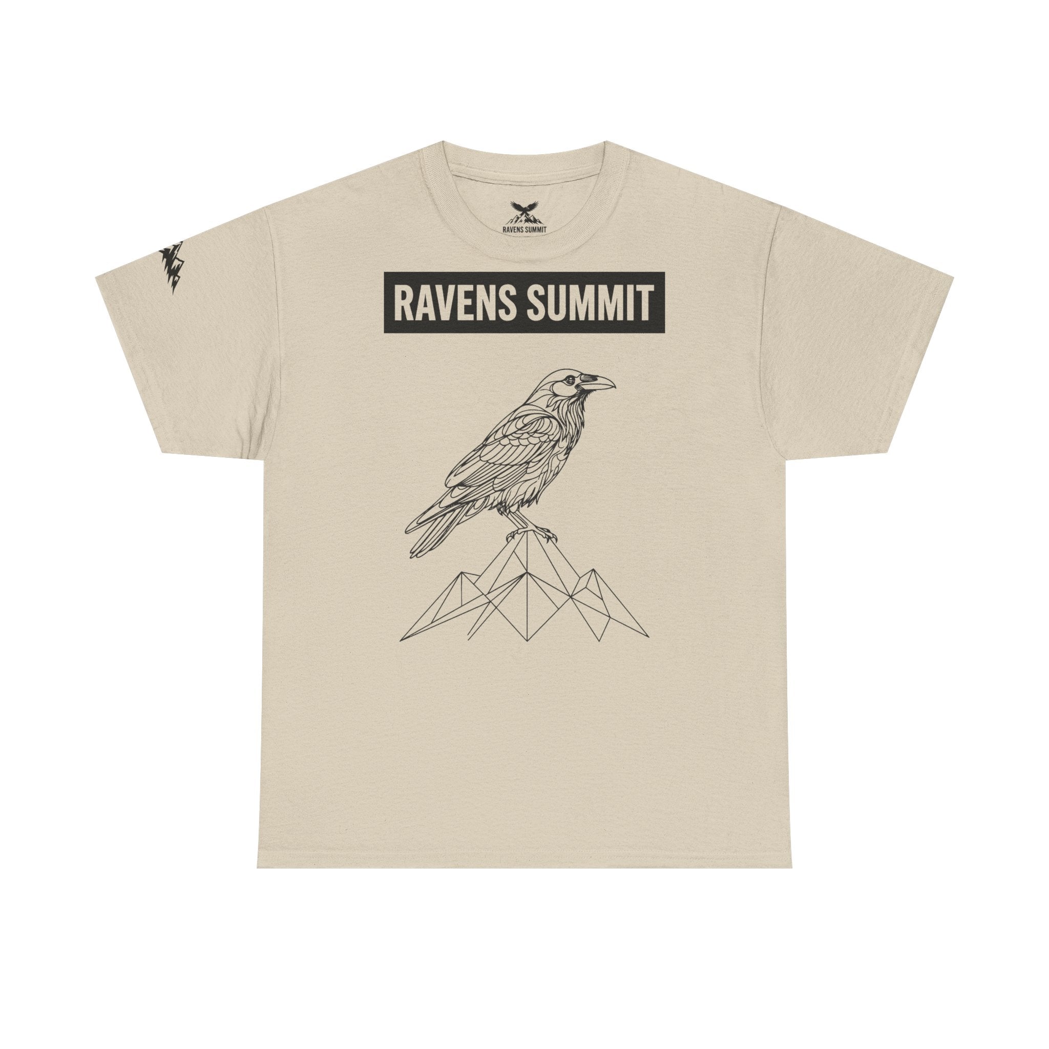 Raven Summit Tee — Minimal Mountain Raven Line Art Graphic T-Shirt