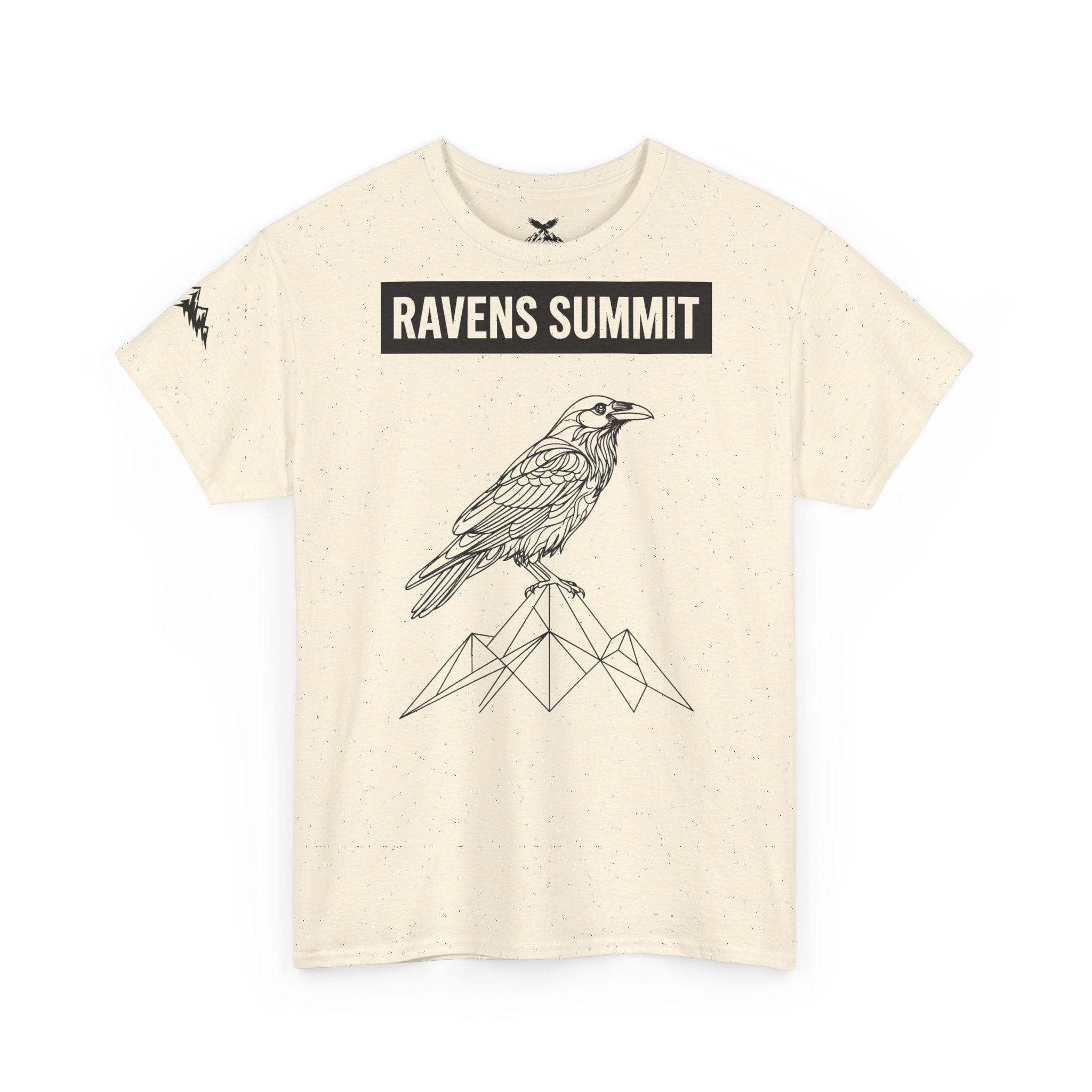 Raven Summit Tee — Minimal Mountain Raven Line Art Graphic T-Shirt