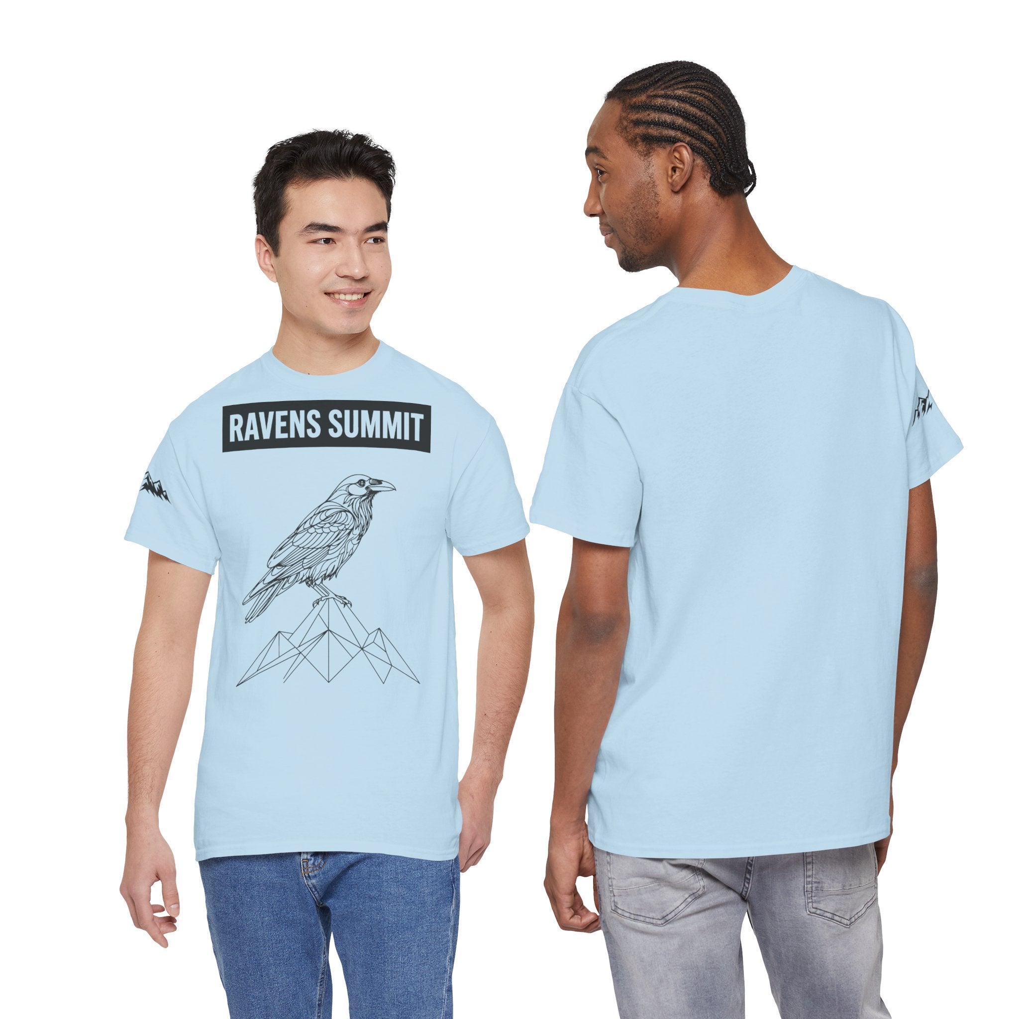 Raven Summit Tee — Minimal Mountain Raven Line Art Graphic T-Shirt