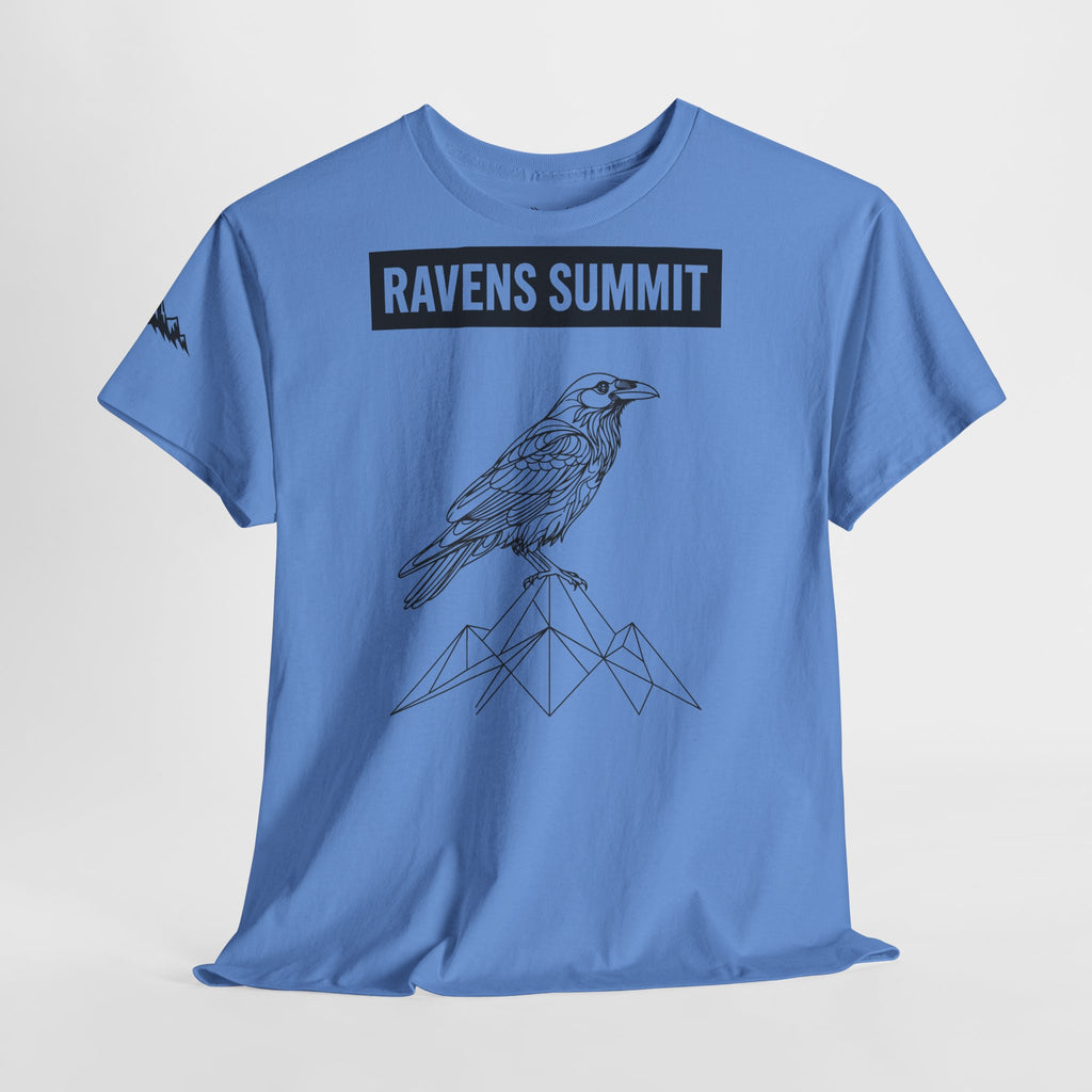 Raven Summit Tee — Minimal Mountain Raven Line Art Graphic T-Shirt
