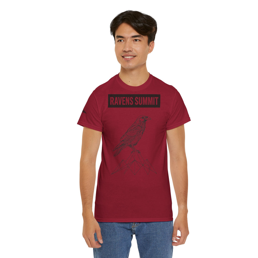 Raven Summit Tee — Minimal Mountain Raven Line Art Graphic T-Shirt