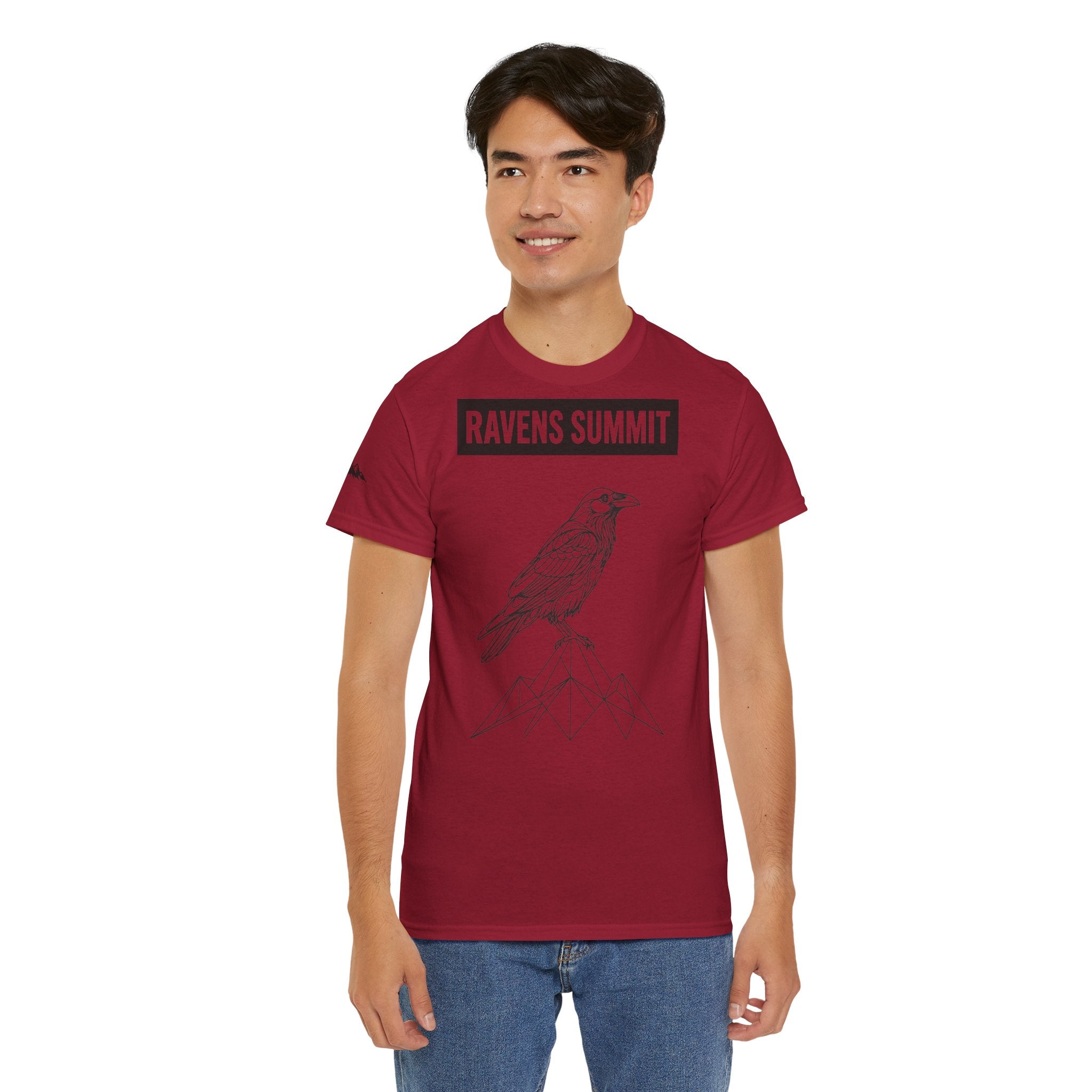 Raven Summit Tee — Minimal Mountain Raven Line Art Graphic T-Shirt