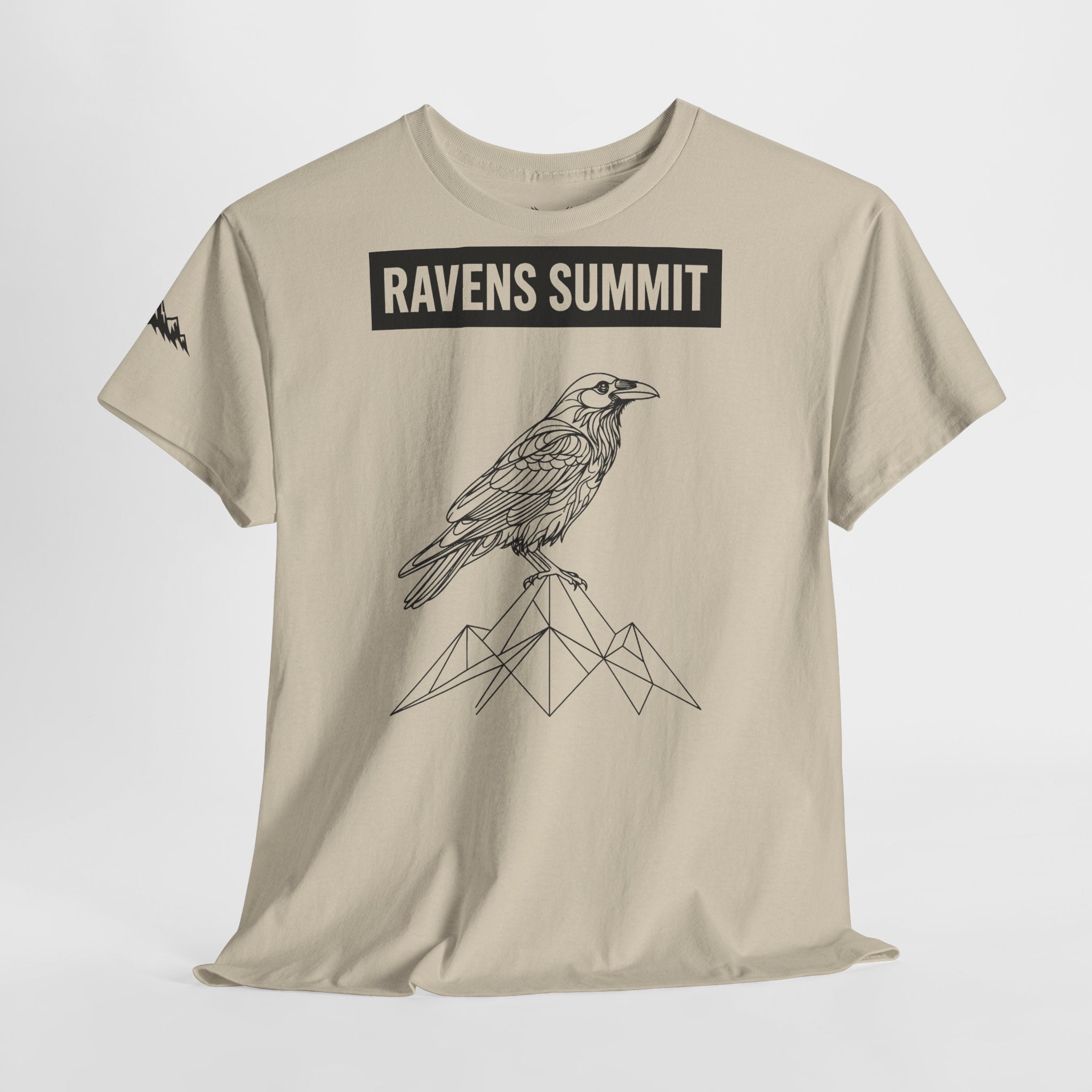 Raven Summit Tee — Minimal Mountain Raven Line Art Graphic T-Shirt