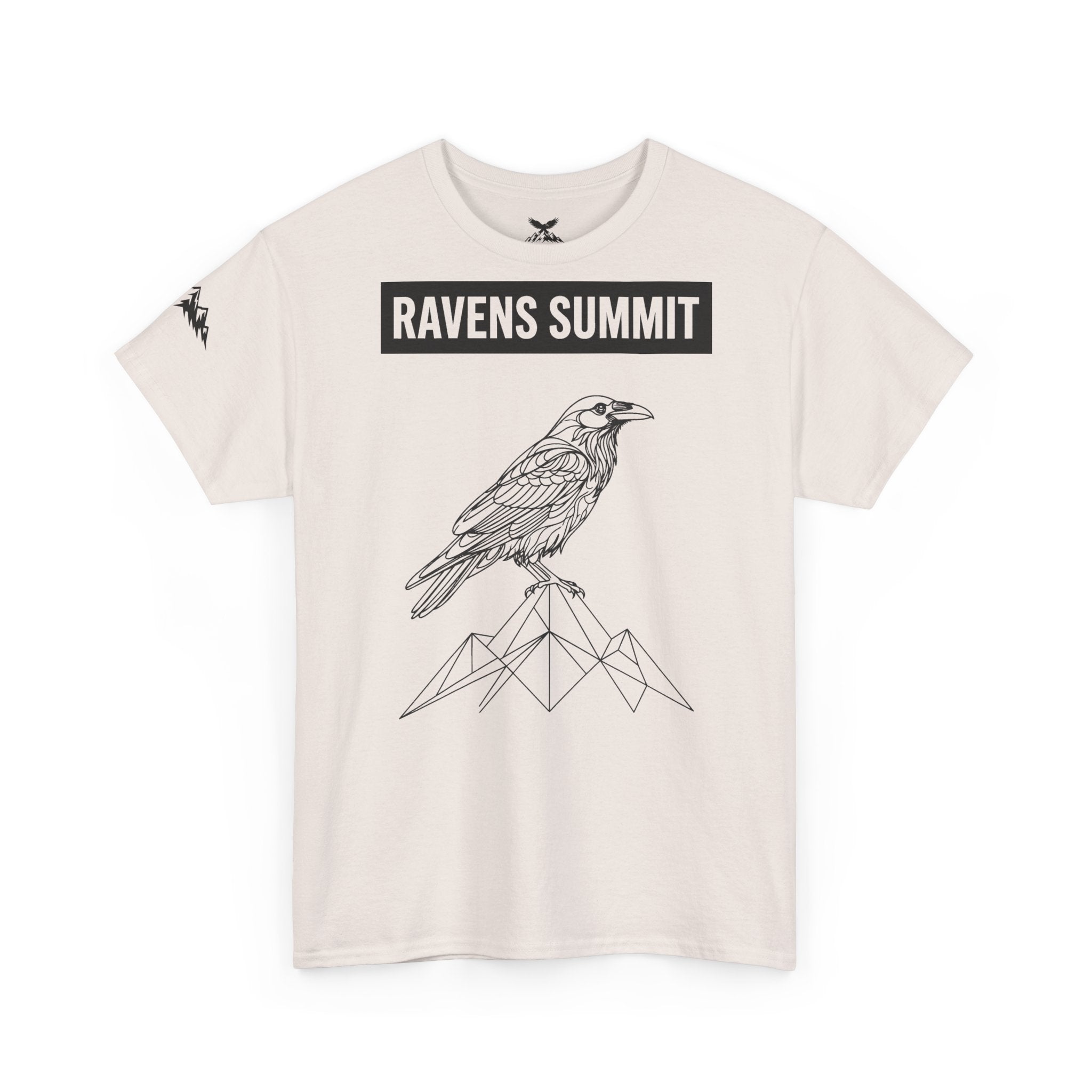 Raven Summit Tee — Minimal Mountain Raven Line Art Graphic T-Shirt