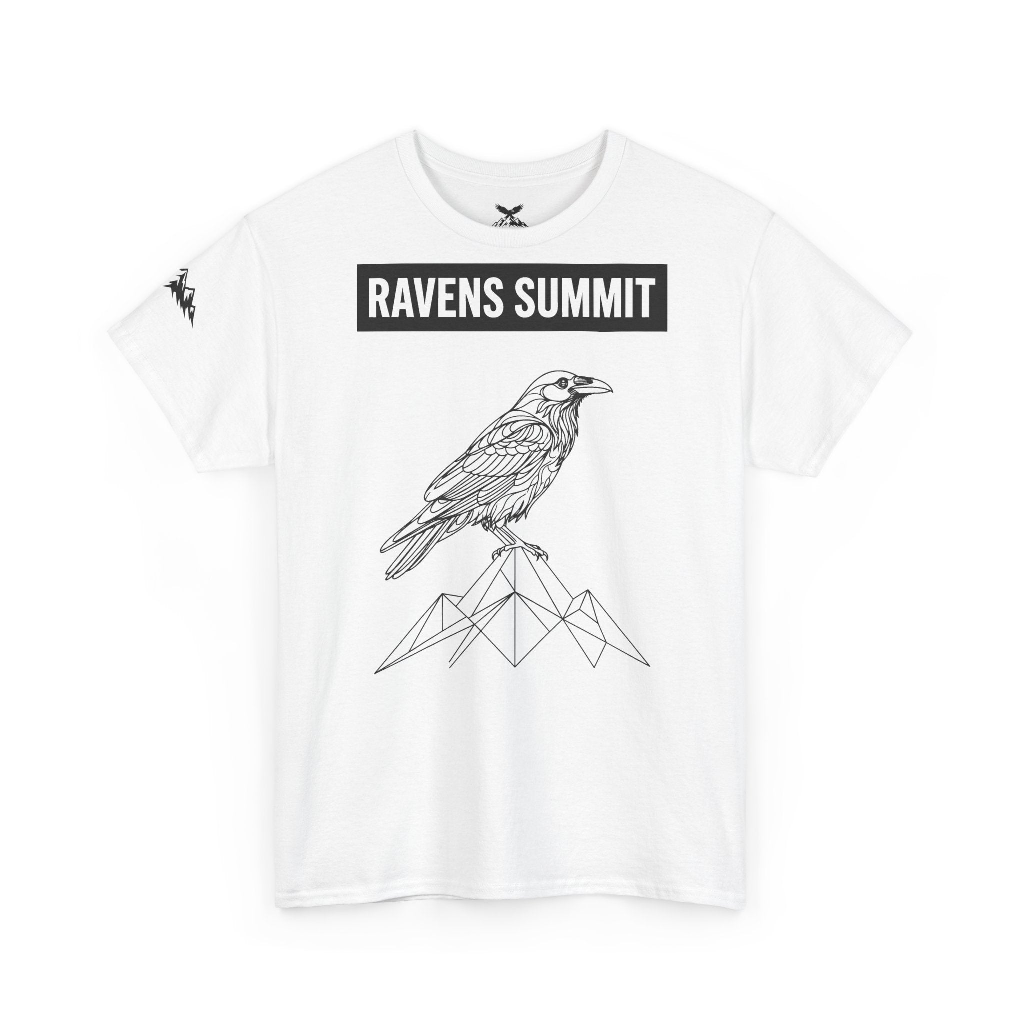 Raven Summit Tee — Minimal Mountain Raven Line Art Graphic T-Shirt
