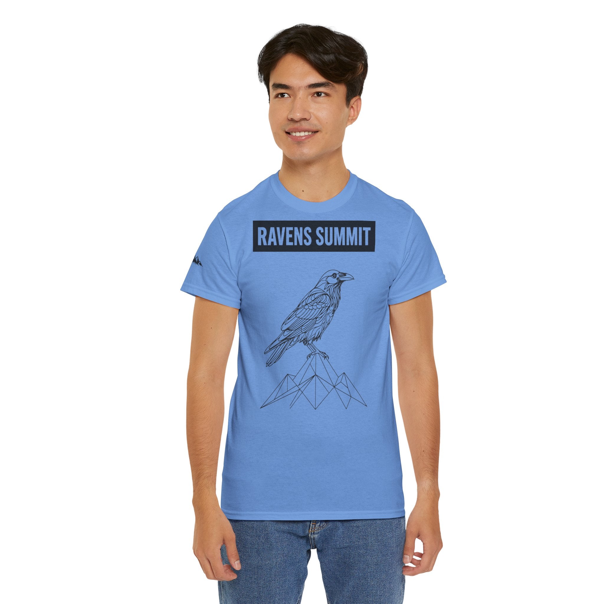 Raven Summit Tee — Minimal Mountain Raven Line Art Graphic T-Shirt