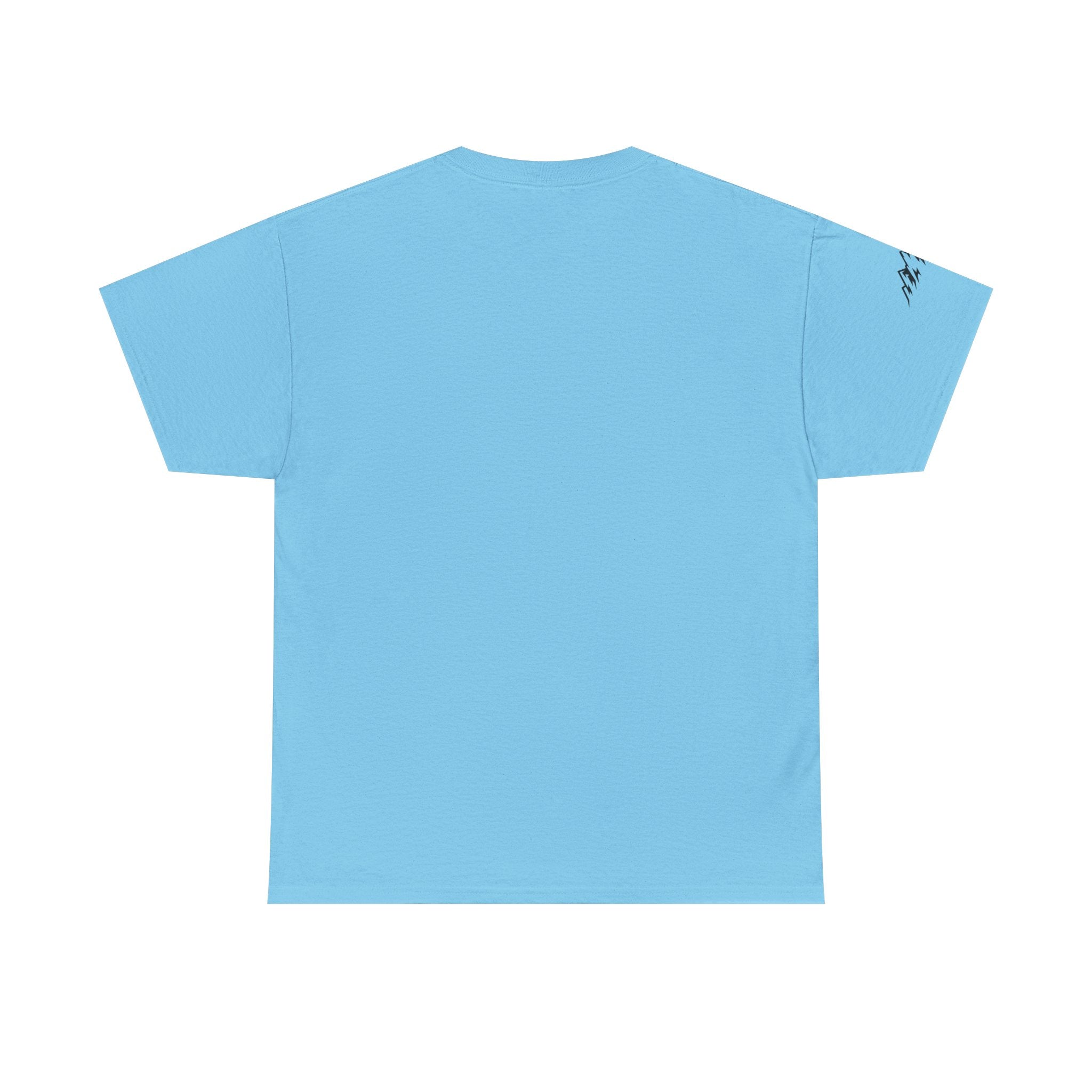 Raven Summit Tee — Minimal Mountain Raven Line Art Graphic T-Shirt