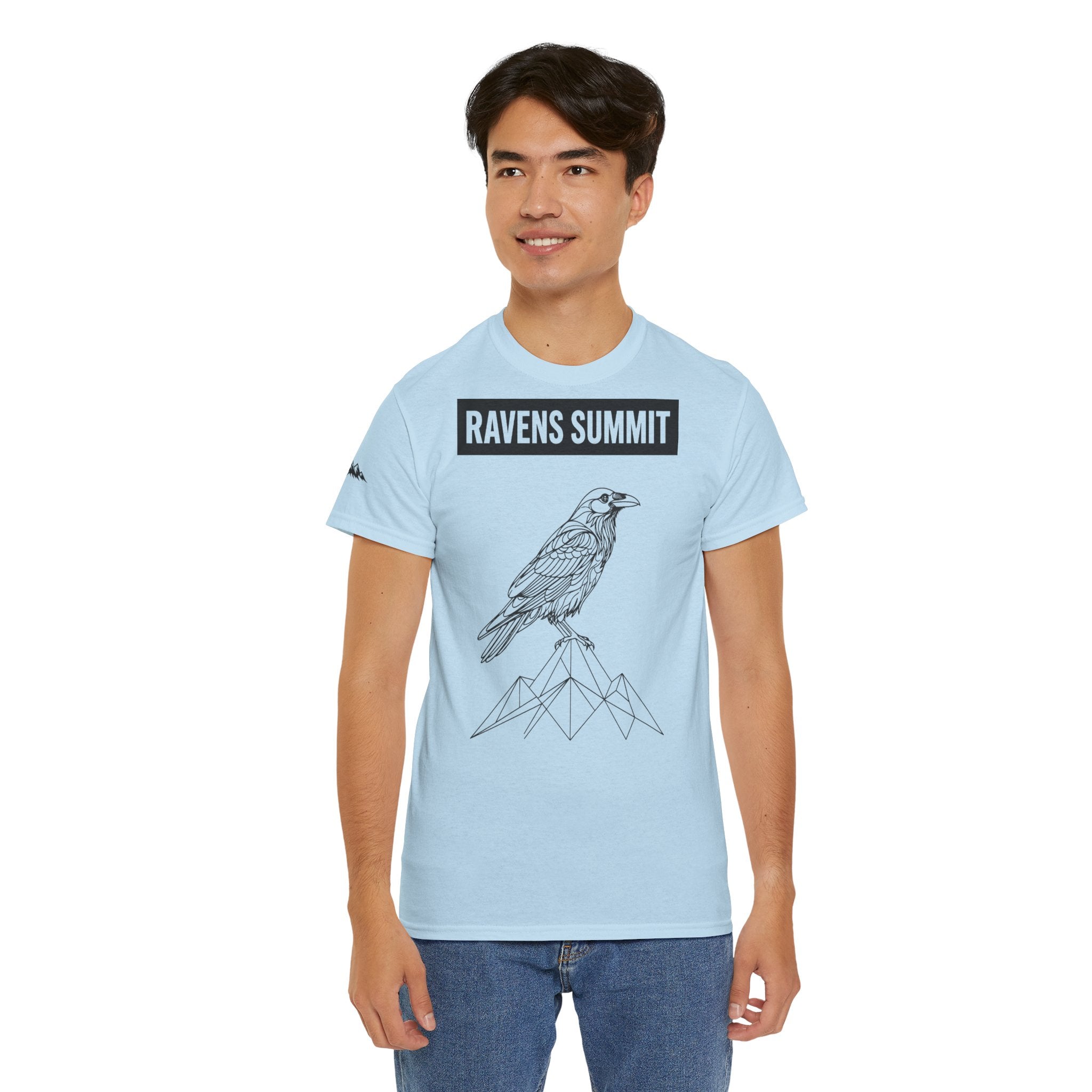 Raven Summit Tee — Minimal Mountain Raven Line Art Graphic T-Shirt