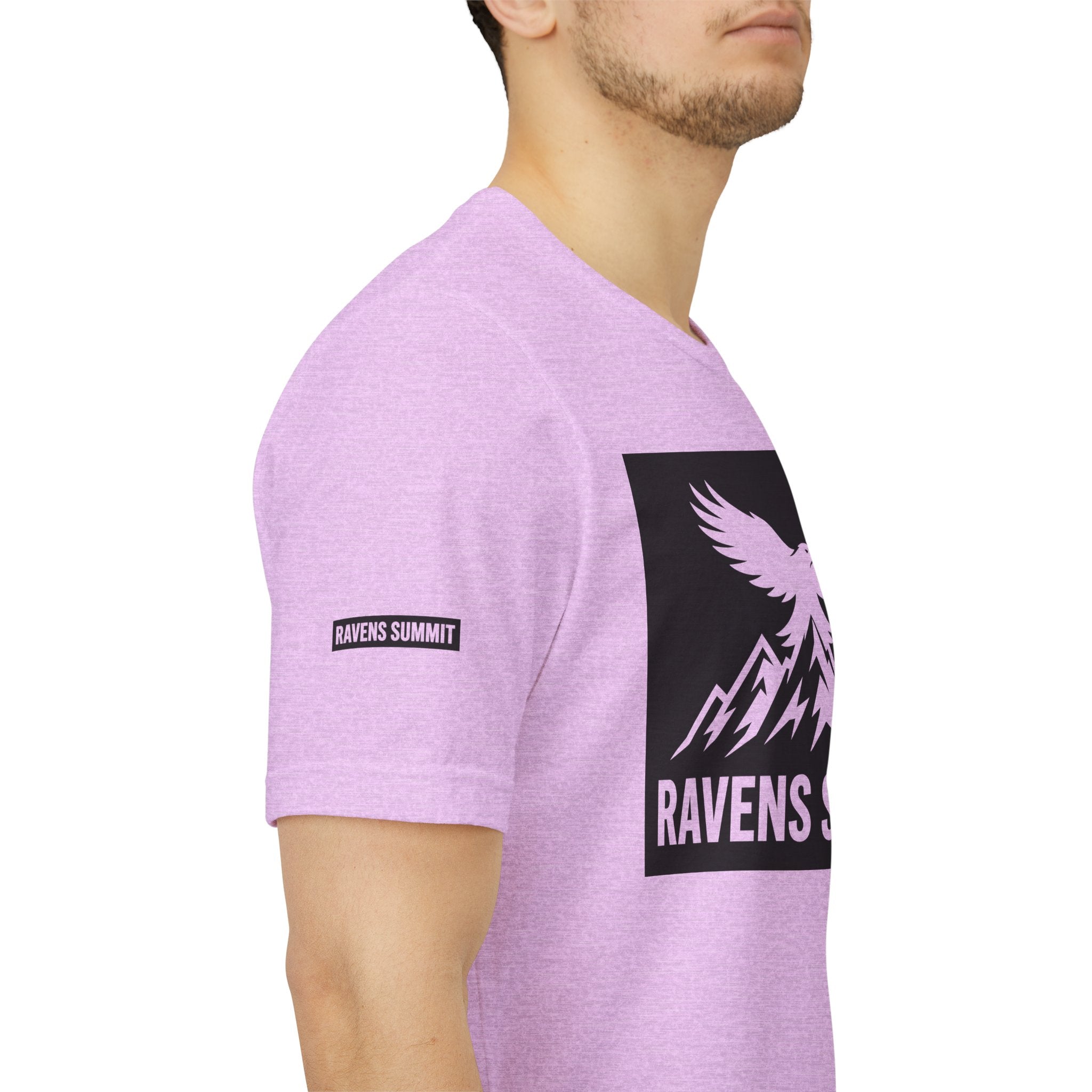 Ravens Summit T‑Shirt — Mountain Raven Graphic Tee Light