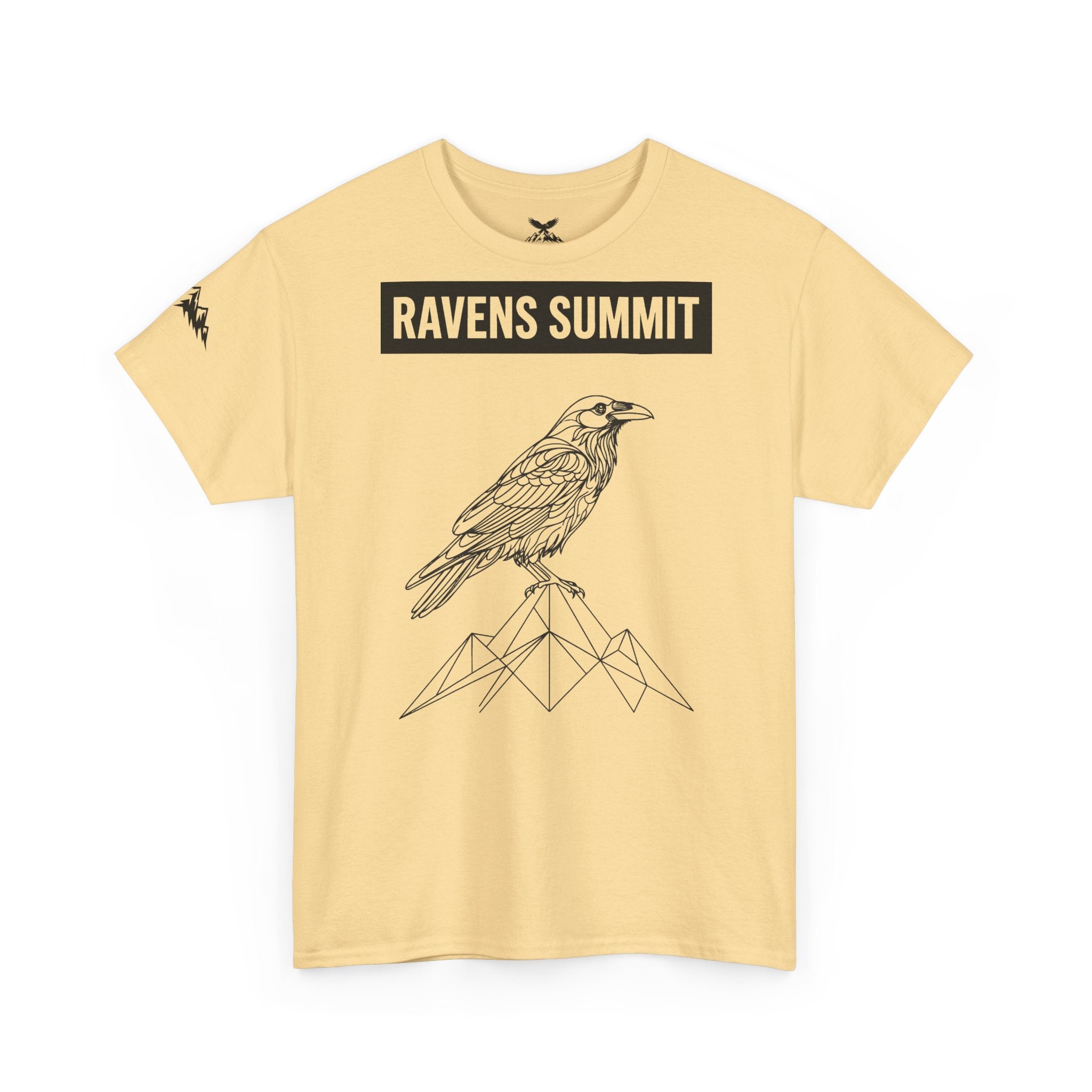 Raven Summit Tee — Minimal Mountain Raven Line Art Graphic T-Shirt