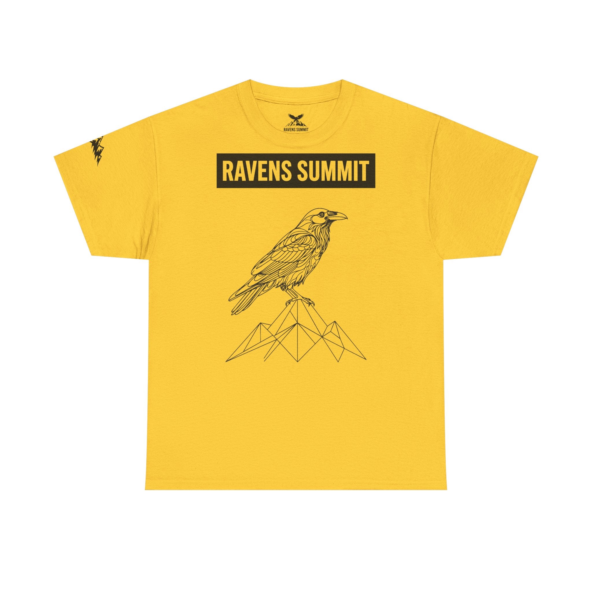 Raven Summit Tee — Minimal Mountain Raven Line Art Graphic T-Shirt