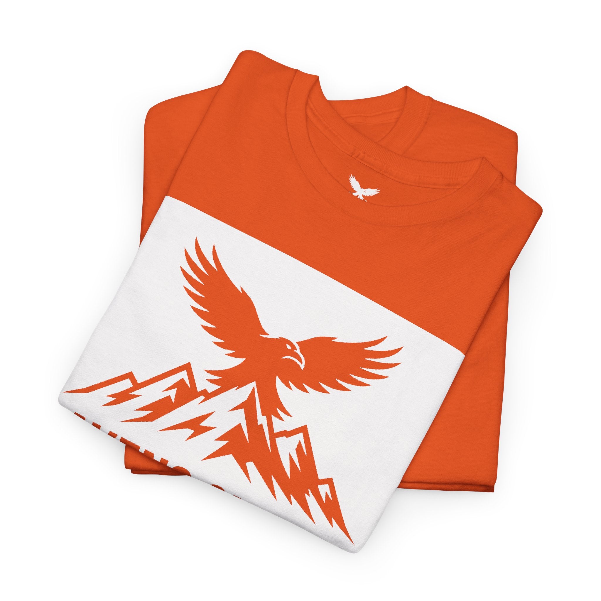 Ravens Summit Dark T-Shirt — Mountain Raven Outdoor Graphic Tee